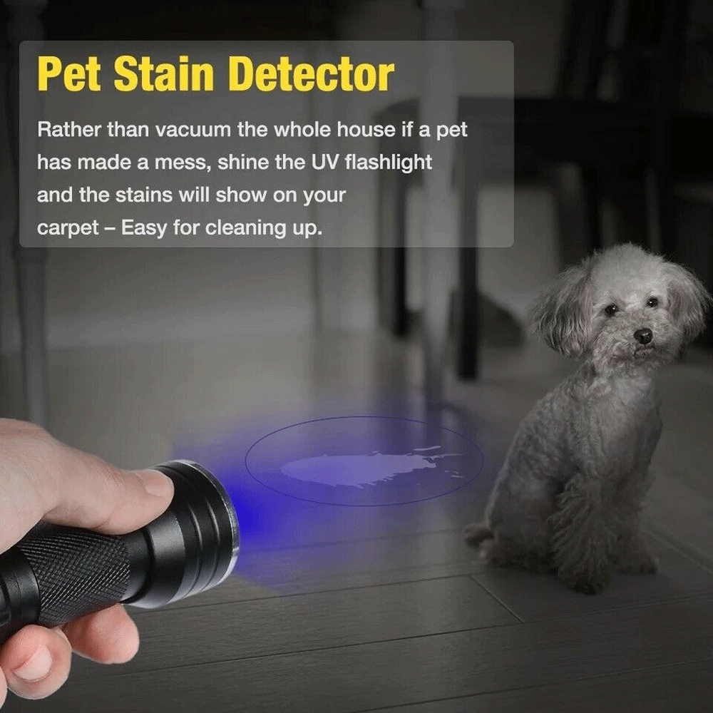 Super Bright UV Flashlight 395nm Black Light - Perfect for Detecting Counterfeit Money, Pet Stains, and Scorpion Hunting