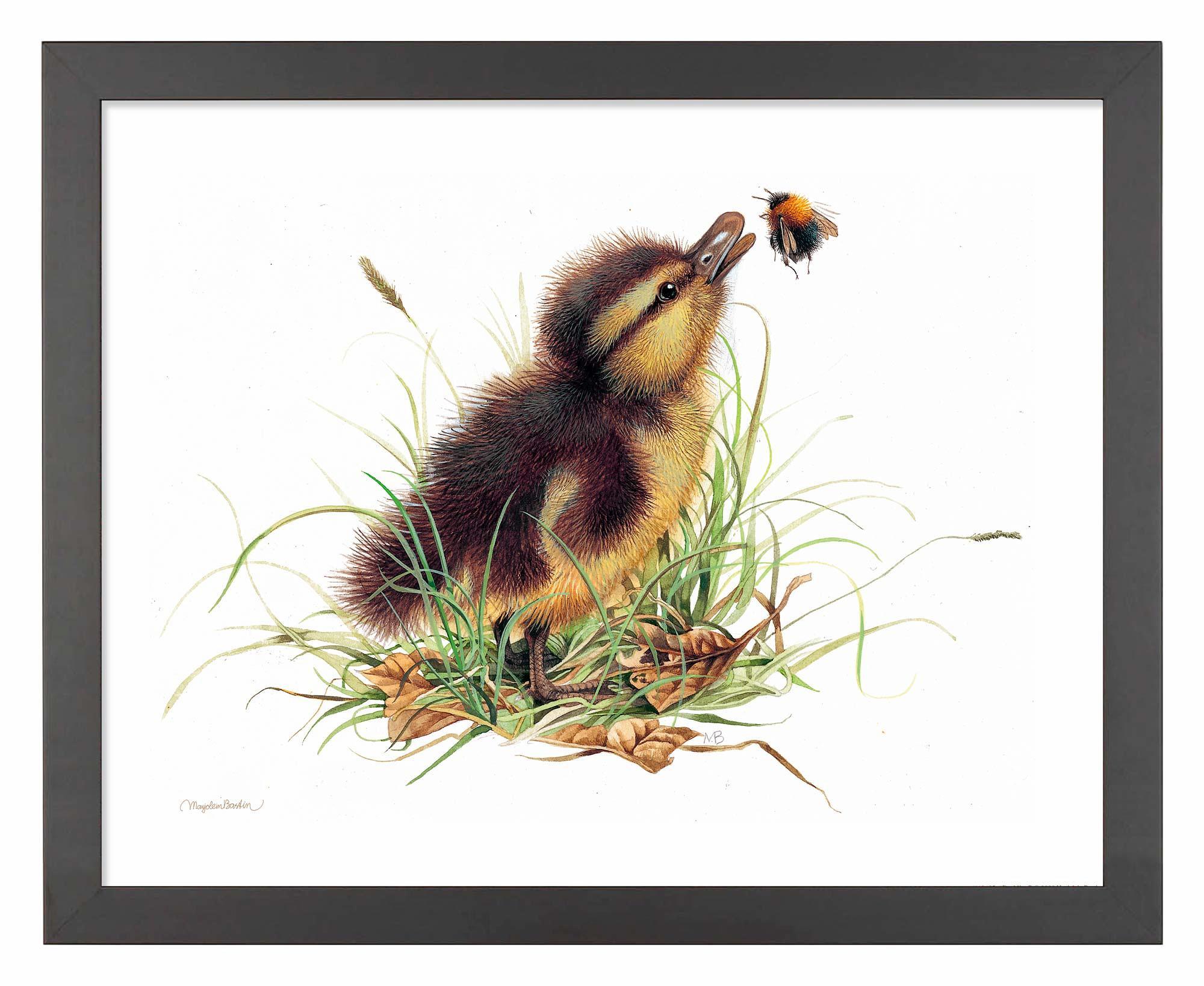 Funny Duckling Distraction Toy - Stress Relief & Fidget Gadget for Kids & Adults - Perfect for Office, School, and Home Use