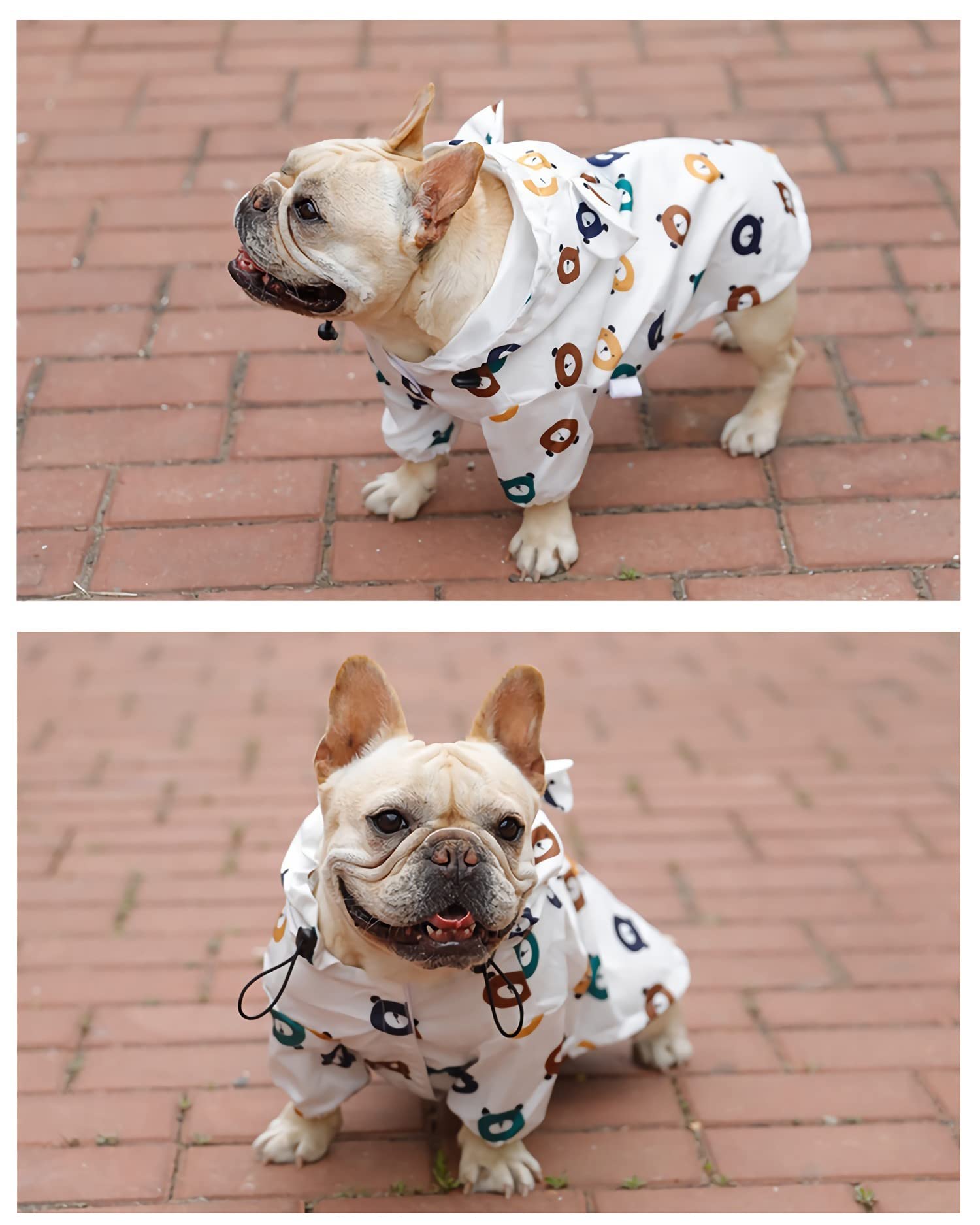 Waterproof Dog Raincoat for Small & Medium Dogs - Cute Cartoon Print Hooded Poncho for Pets | Perfect for Rainy Walks & Outdoor Adventures