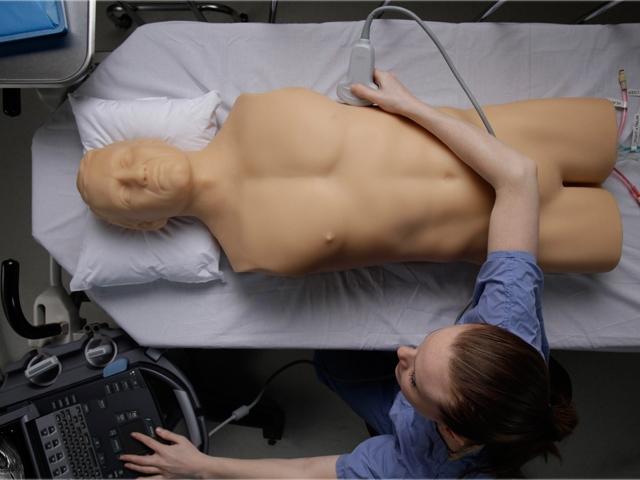FAST Exam Real Time Ultrasound Training Model - Transthoracic Only for Emergency Medicine & Trauma Assessment Practice (Medical Simulation, Sonography Education, TTE Training)
