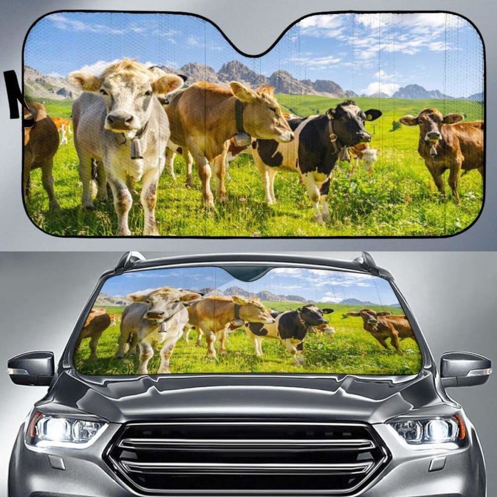 Car Windshield Sun Shade for Cars, Trucks & SUVs - Universal Fit 44