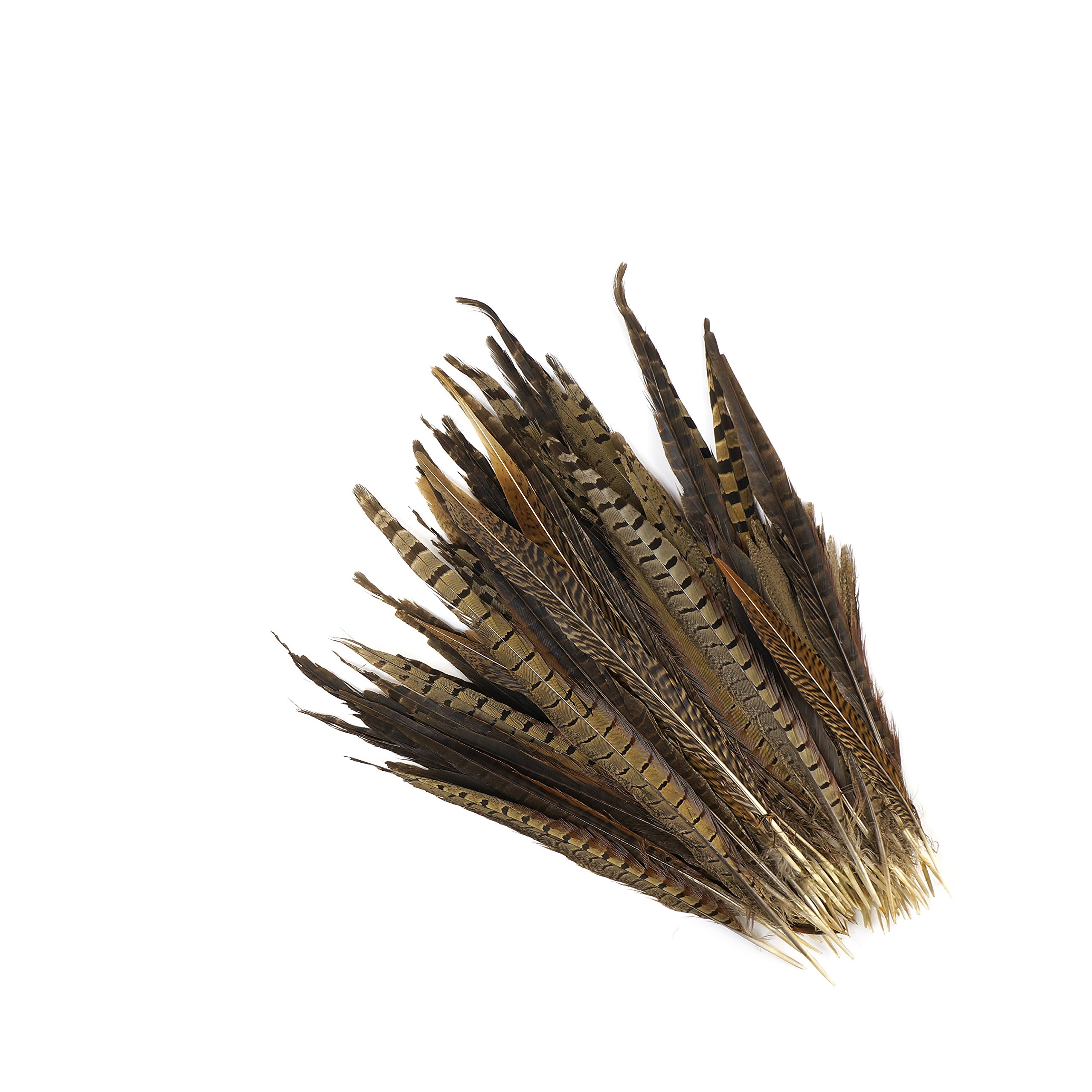 ZUCKER Pheasant Tail Feathers 8-14