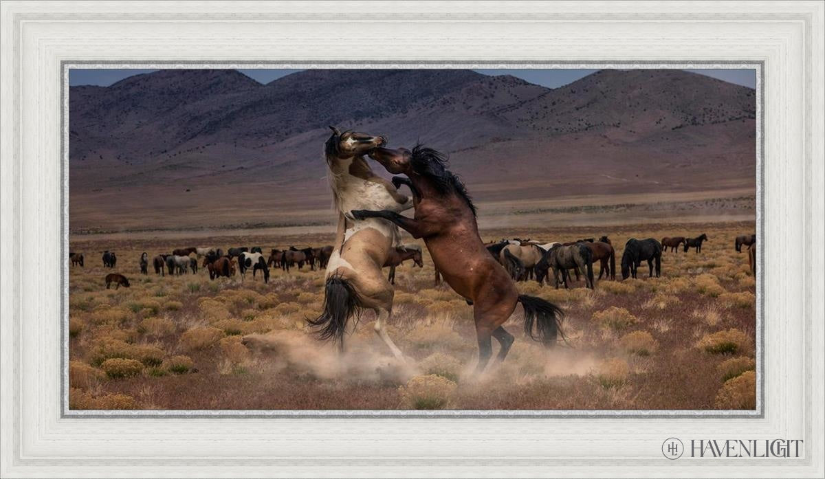 Desert Duel by Greg Sargent - Western Novel, Adventure & Action Book - Perfect for Fans of Cowboy Stories and Wild West Tales | Great for Reading on Road Trips, Camping & Relaxation