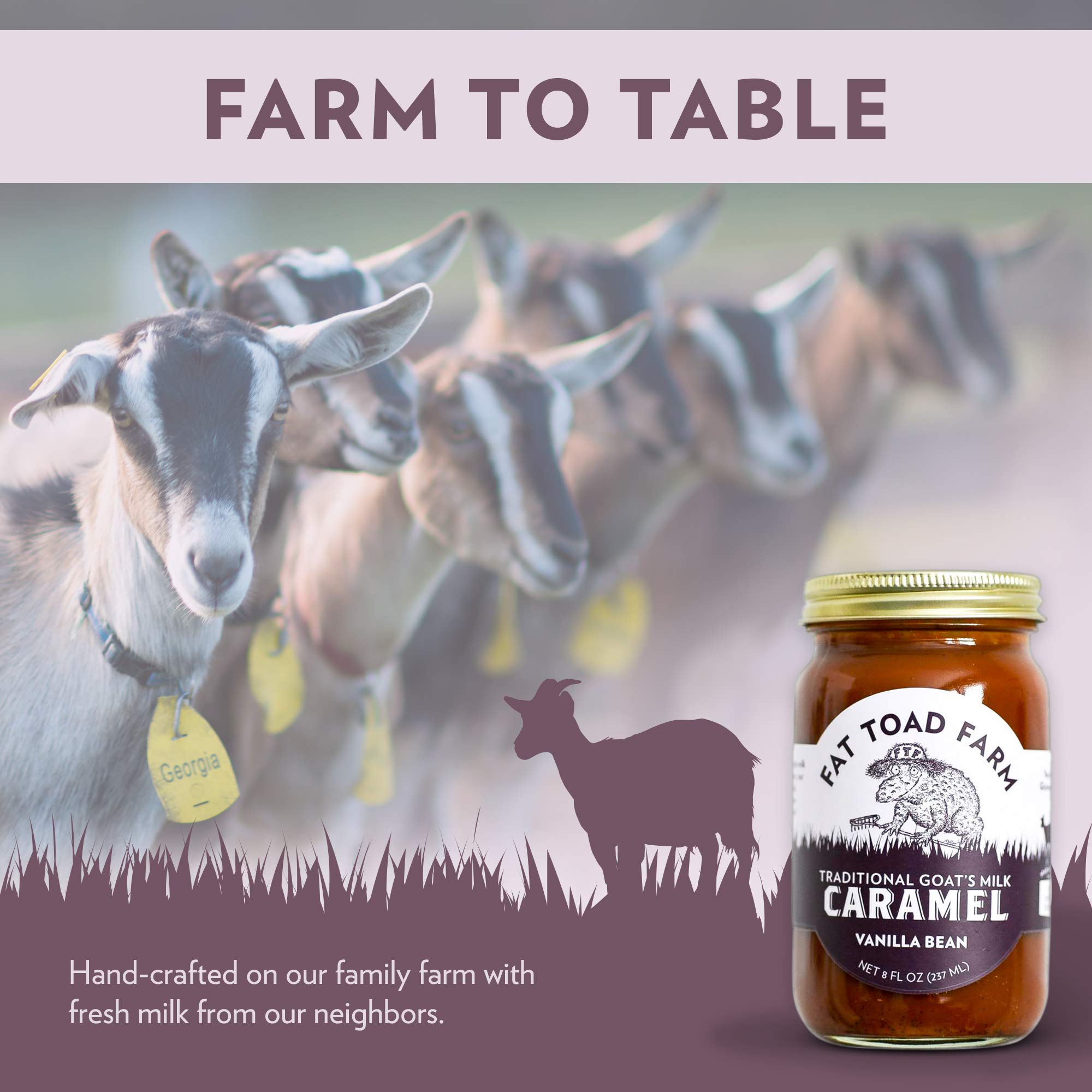 Fat Toad Farm Traditional Goat’s Milk Caramel Sauce - Vanilla Bean Flavor, 8oz Jar, Gluten Free, Dairy Dessert Topping for Ice Cream, Pancakes & Coffee