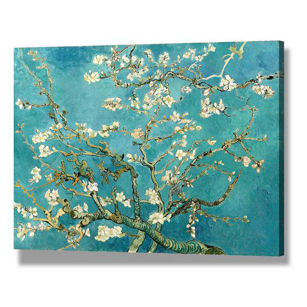 Blossoming Almond Tree