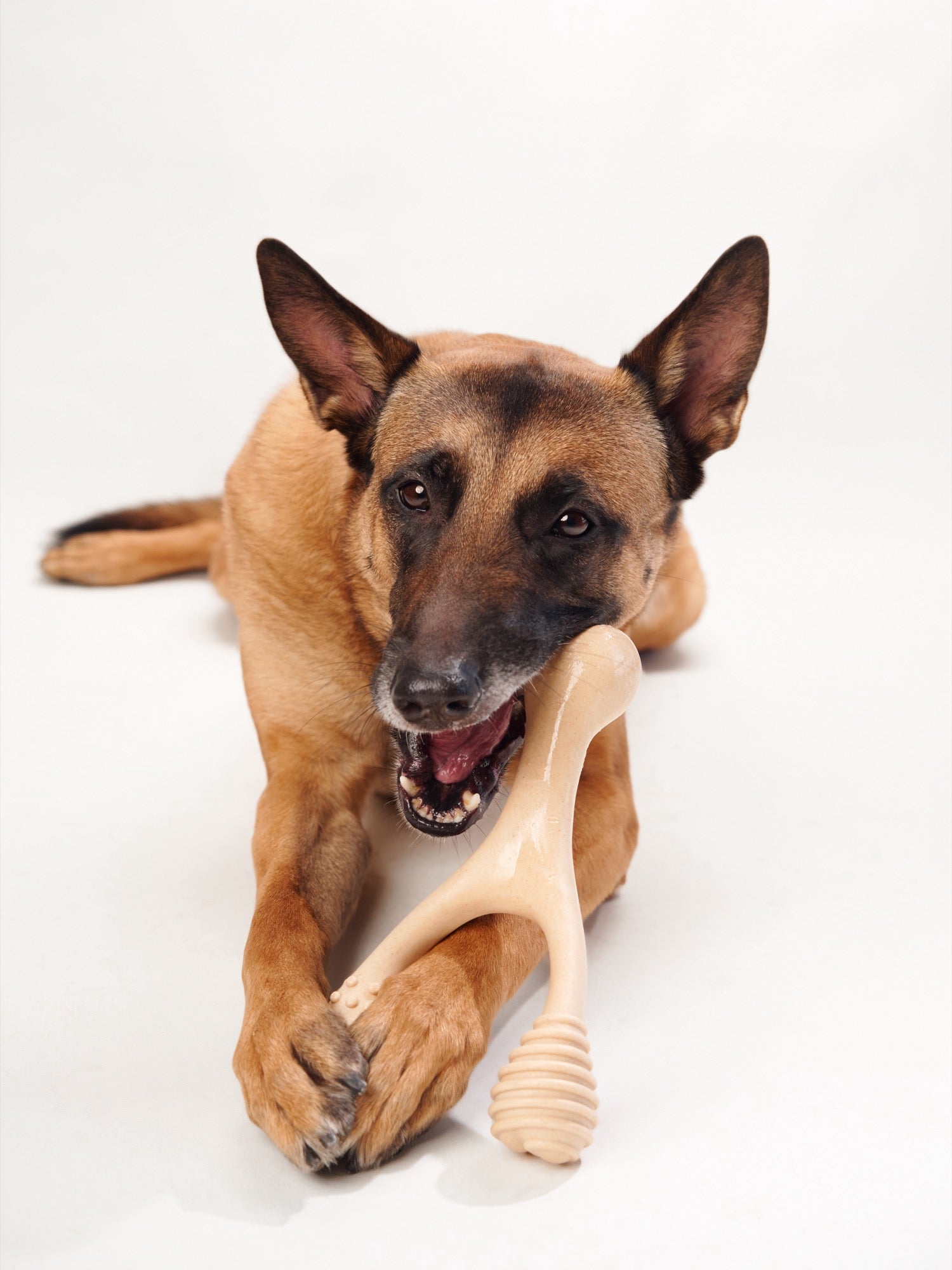 BetterBone MEDIUM Beef Flavor Dog Chew Bone - Natural & Healthy Rawhide Alternative for Dogs - Perfect for Teething, Dental Health & Anxiety Relief - Great for Medium Dogs 20-50 lbs