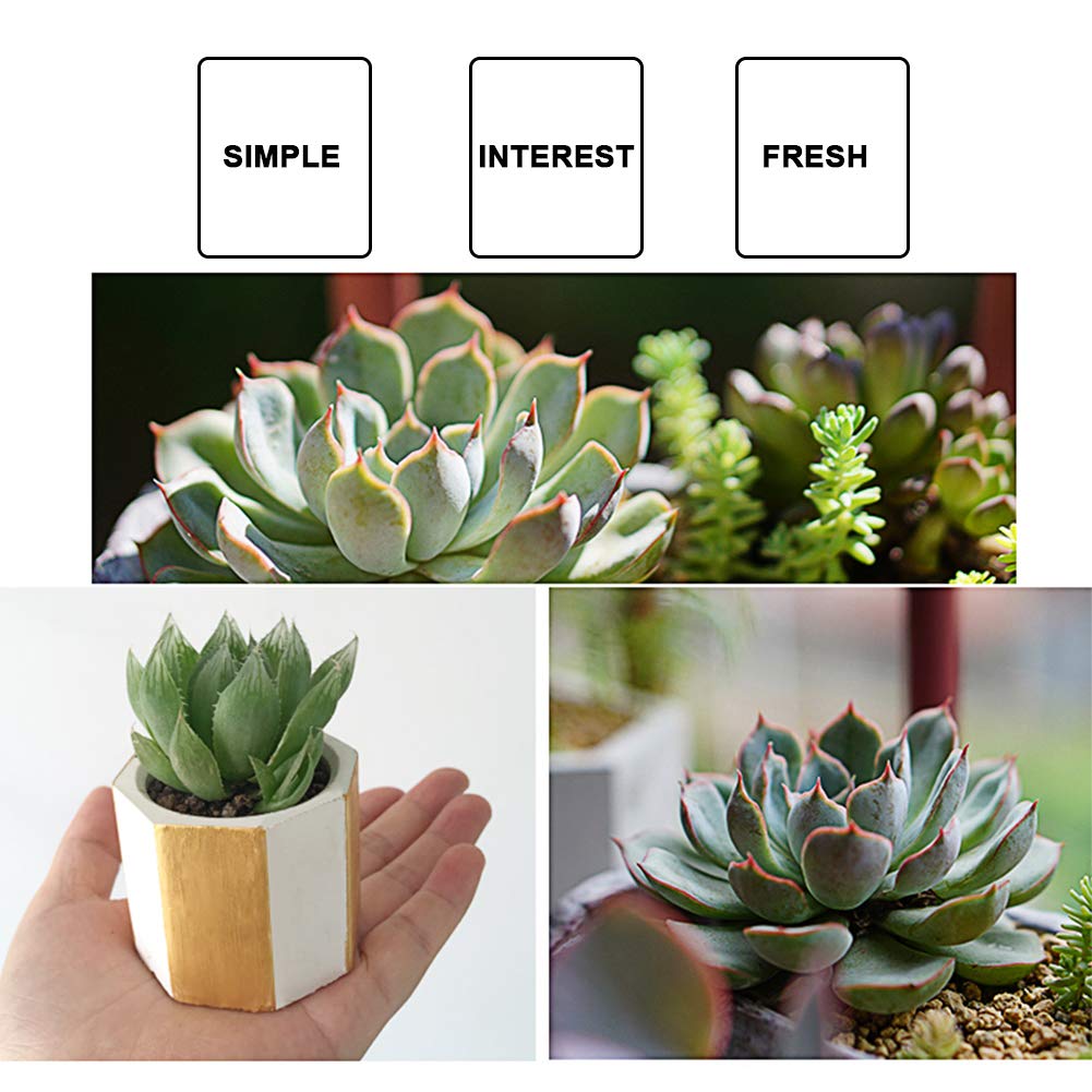 4 Pack Silicone Flower Pot Molds for DIY Succulent Planters, Concrete Molds, Ice Shot Glasses & Candle Holders - Perfect for Home Decor, Gardening & Craft Projects