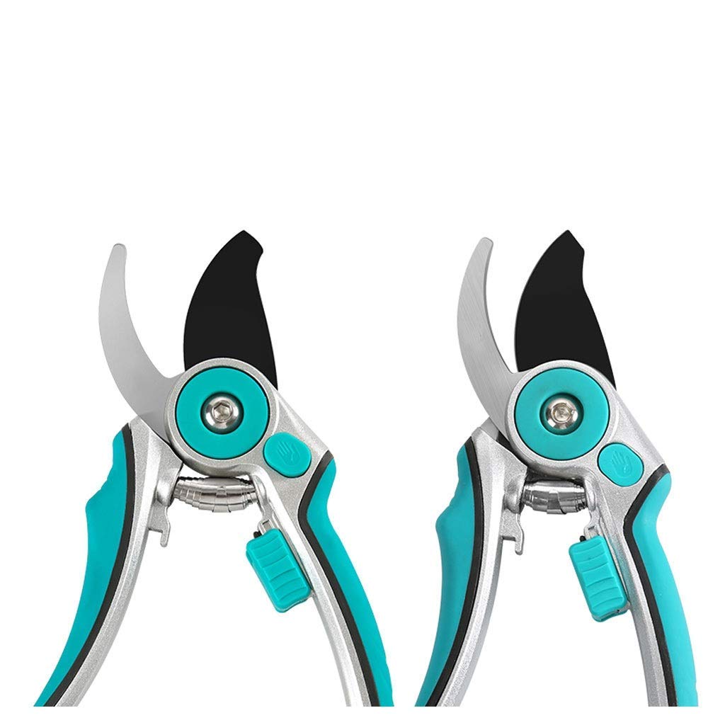 Premium Stainless Steel Garden Pruning Shears - Sharp Bypass Pruner for Trimming Branches, Stems & Plants | Ergonomic Gardening Scissors with Non-Slip Handles (Blue) | Ideal for Home Gardeners, Landscaping & Outdoor Plant Care
