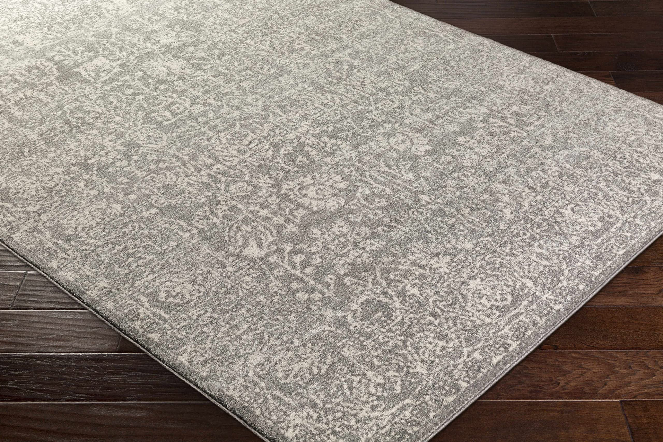 Hauteloom Sigel Traditional Area Rug 2' x 3' - Soft Gray & Beige Living Room Rug, Bedroom Carpet - Perfect for Home Decor, Office, Dorm & Cozy Spaces