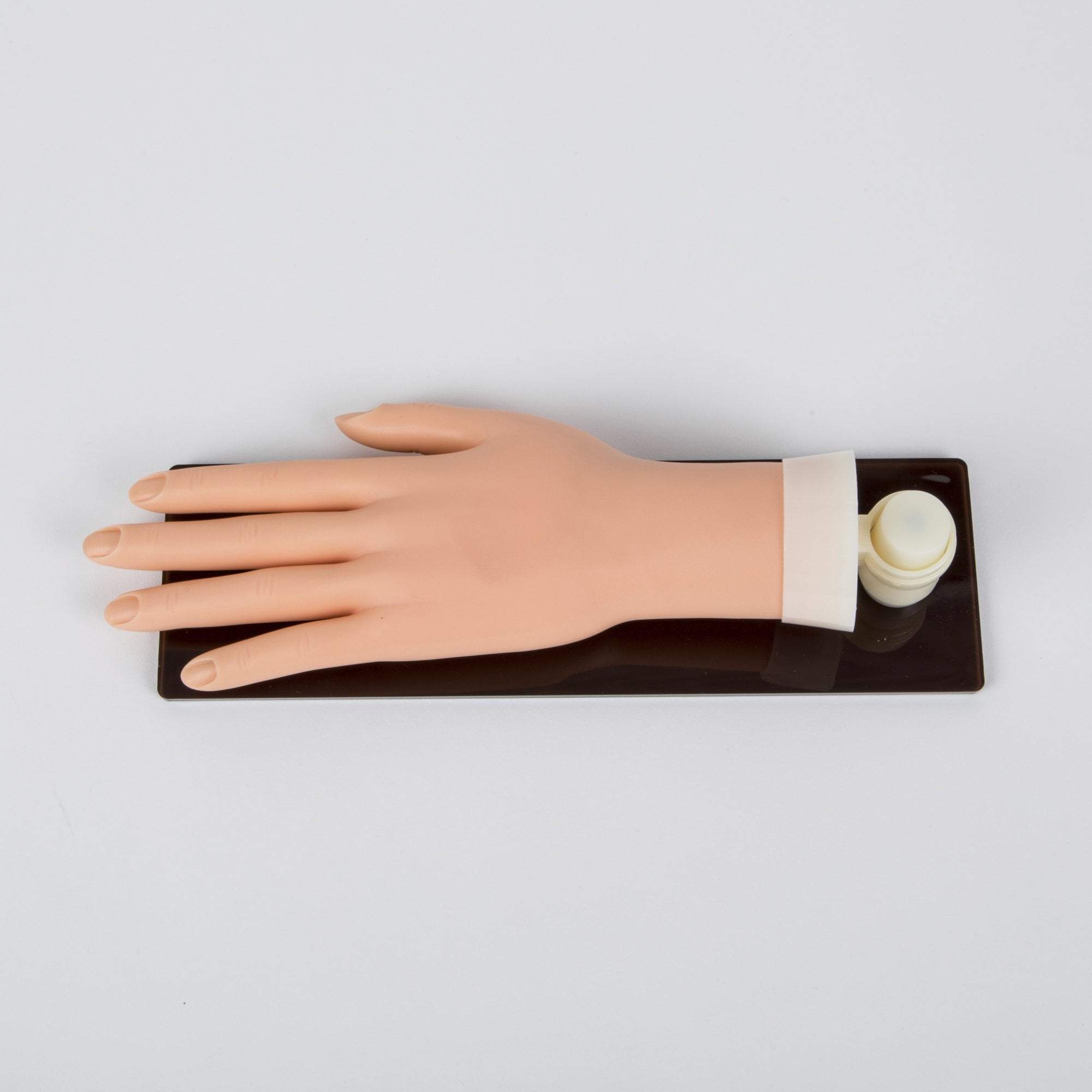 Premium Adjustable Practice Hand with Stand - Ideal for Medical Training, Physical Therapy & Rehabilitation Exercises