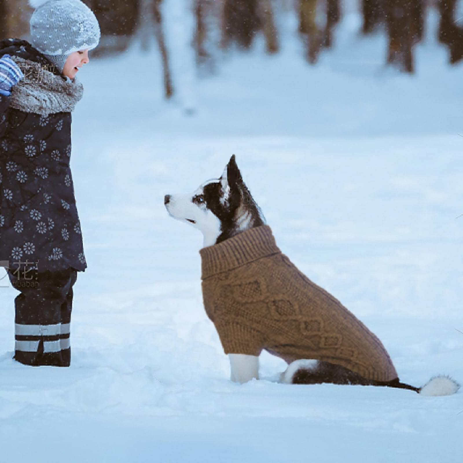 Medium Dog Sweater - Warm Knitted Dog Pullover for Christmas & Thanksgiving - Cozy Thermal Fall Dog Clothes for Schnauzer, Bichon, Coffee - Perfect for Winter Walks & Holiday Photos