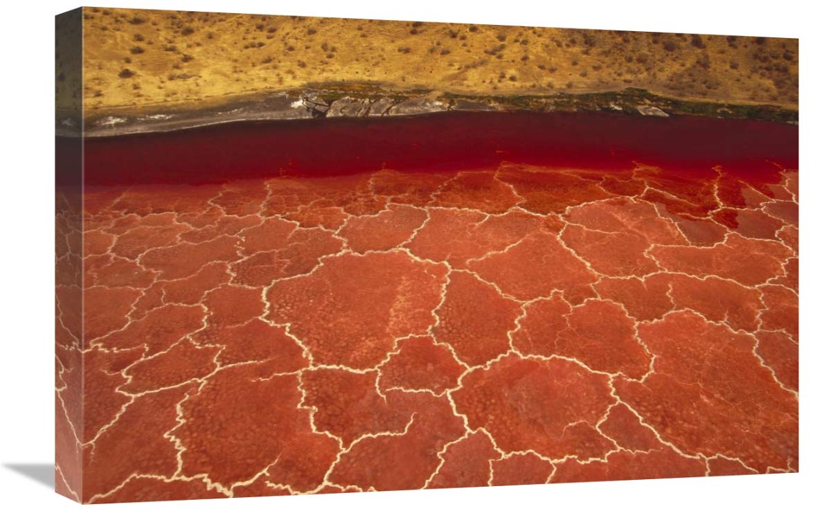 16 x 24 Inch Lake Natron Soda Formations Art Print - Tanzania East Africa Landscape Wall Decor by Gerry Ellis - Perfect for Living Room, Office or Gallery Display