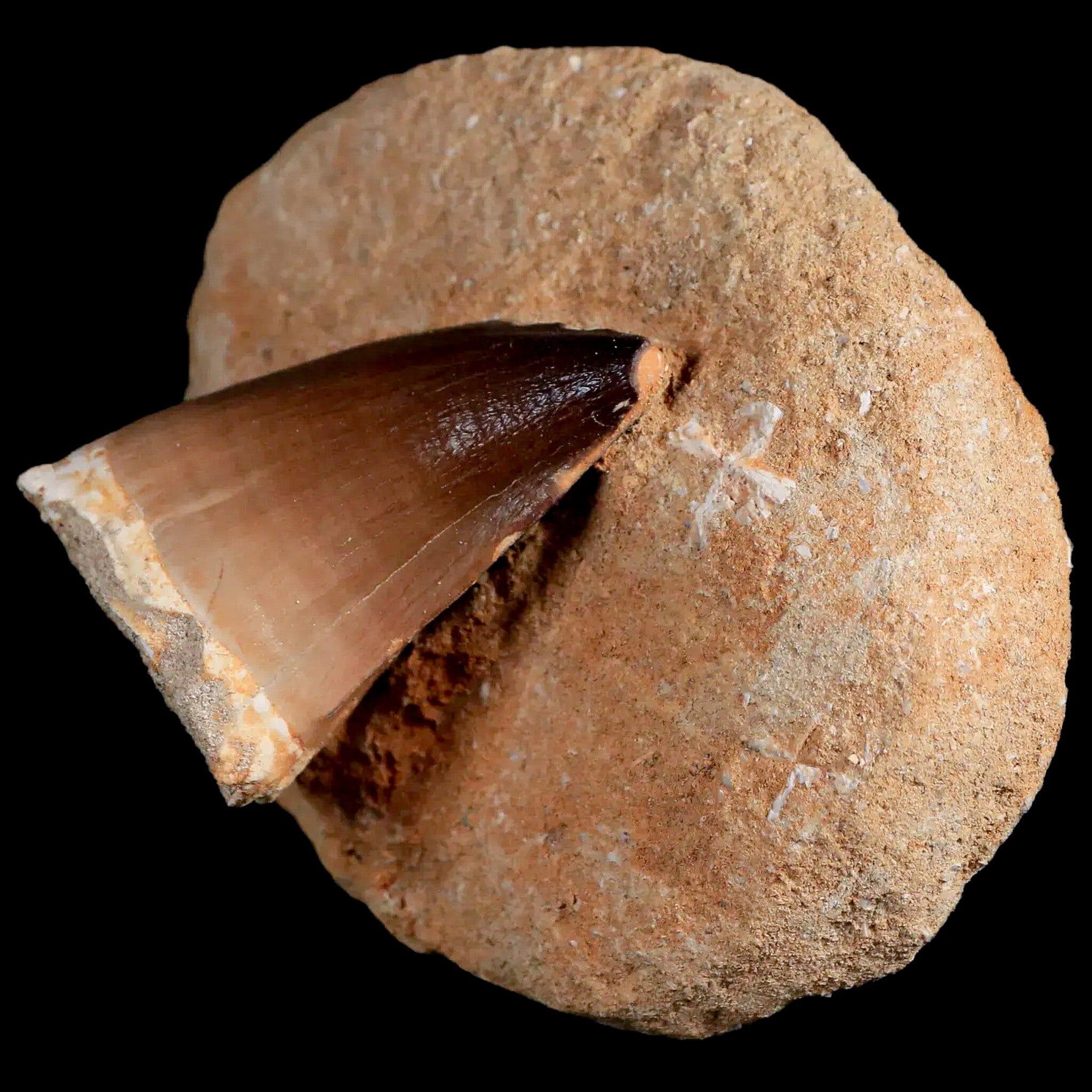 1.9