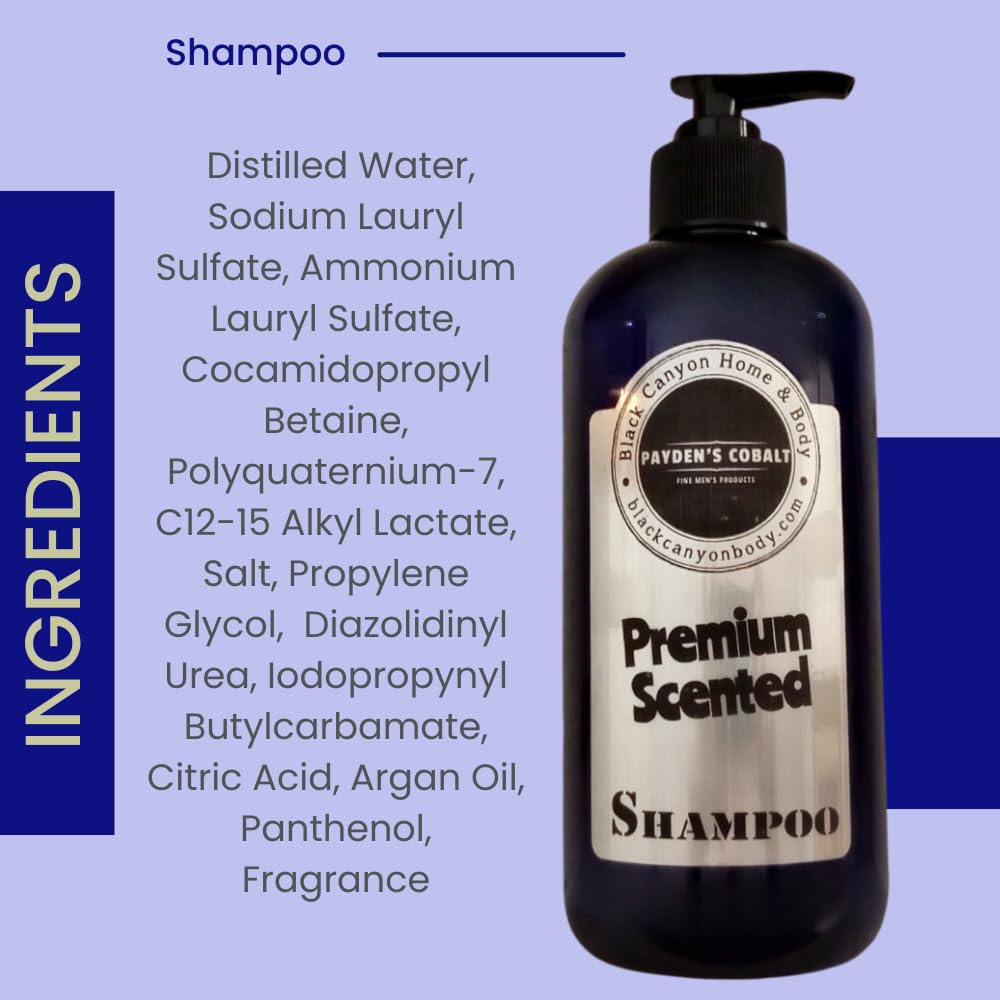 Payden's Cobalt Santa's Pipe Scented Argan Oil Shampoo and Conditioner Set for Men - 16 Oz, Sulfate-Free Hair Care for Dry & Damaged Hair - Perfect for Gifts, Holidays & Daily Hair Nourishment