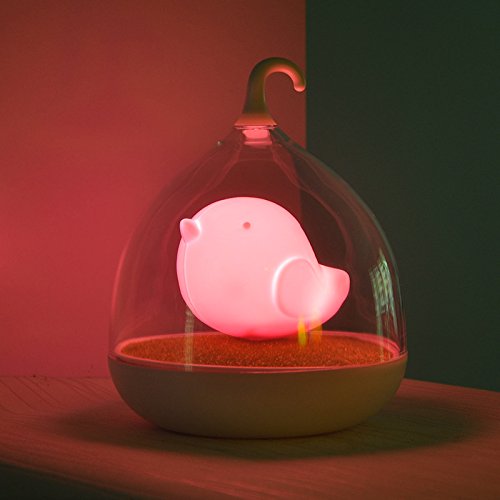 Rechargeable Kids Night Light - Handheld Tap Sensor & Vibration Cage Lamp for Children, Babies | Valentine's Gift, Nursery Decor, Camping & Outdoor Use (Pink)