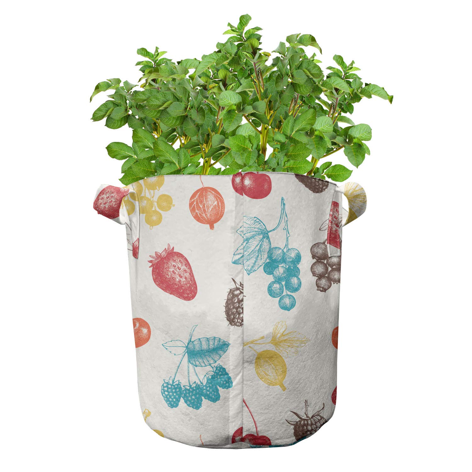 Ambesonne 5-Pack Heavy Duty Fabric Grow Bags with Handles - Colorful Fruit Pattern Plant Pots for Indoor/Outdoor Gardening, Vegetables, Herbs & Flowers