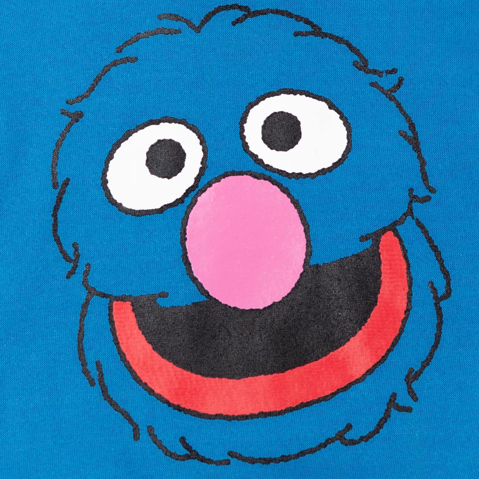 Sesame Street Abby Cadabby Elmo Big Bird Cookie Monster Oscar The Grouch Pullover Hoodie for Infants & Toddlers - Soft Cotton Kids Sweatshirt for Playtime & Family Outings
