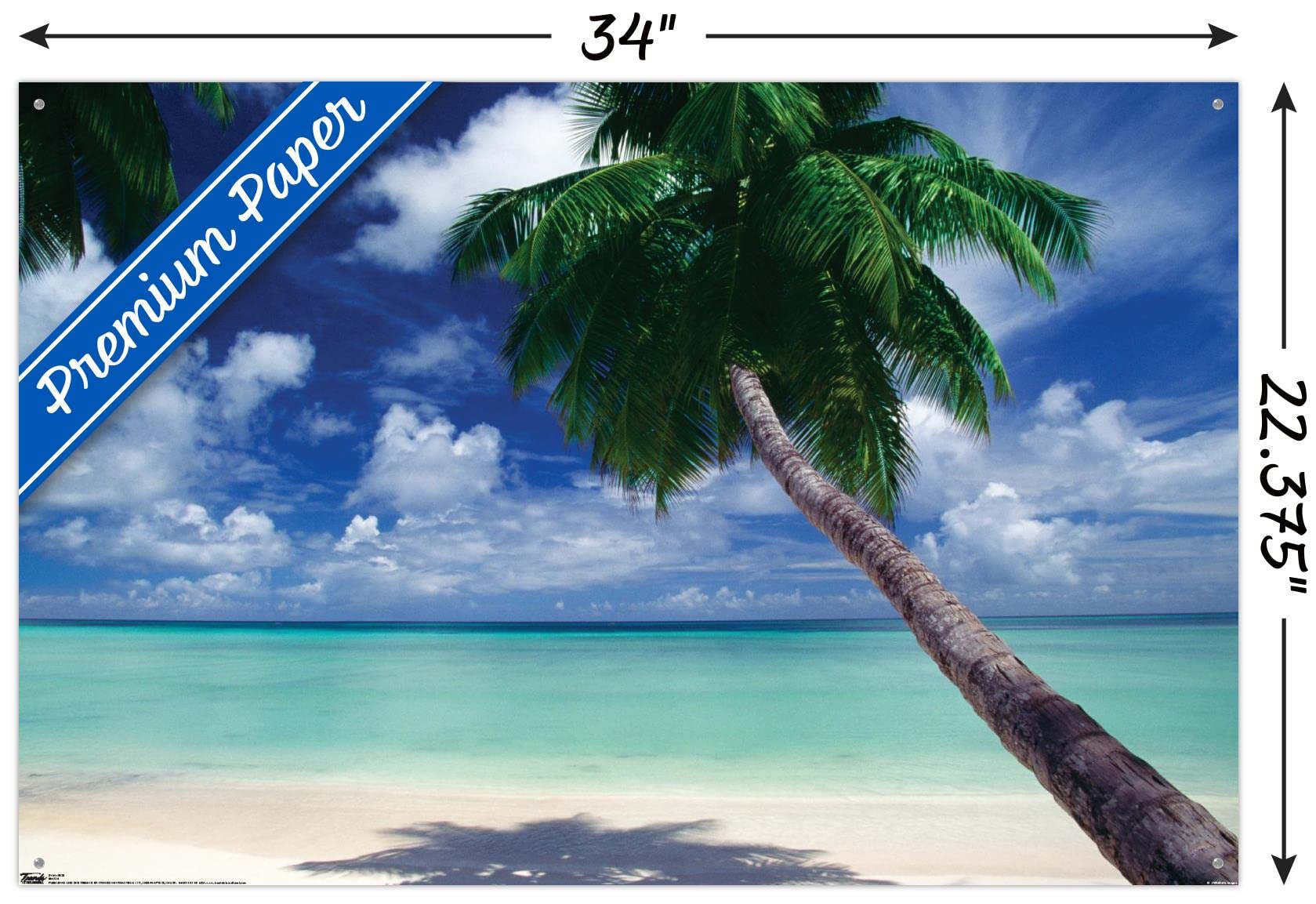 Stunning Beach View Wall Poster with Push Pins - Perfect for Home, Office & Dorm Decor - Coastal Themed Wall Art for Living Room, Bedroom or Workspace