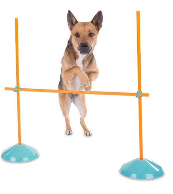 Outward Hound Zip & Zoom Indoor Agility Kit for Dogs - Fun Obstacle Course Training Set for Small & Medium Dogs | Perfect for Indoor Play, Exercise & Mental Stimulation | 25% OFF Limited Time