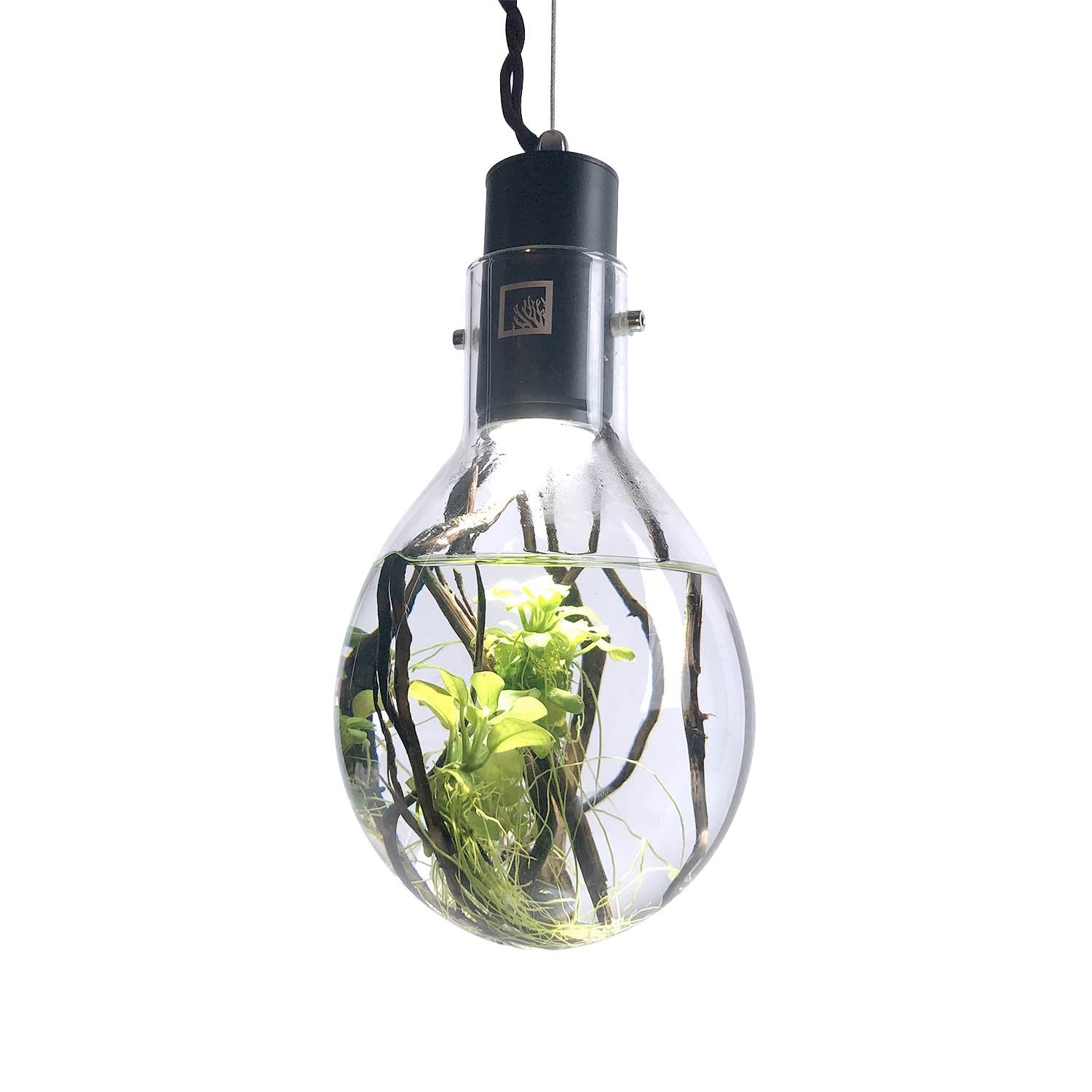 Luminarium LED Aquarium Kit with Decorations - Perfect for Home, Office & Fish Tank Enthusiasts