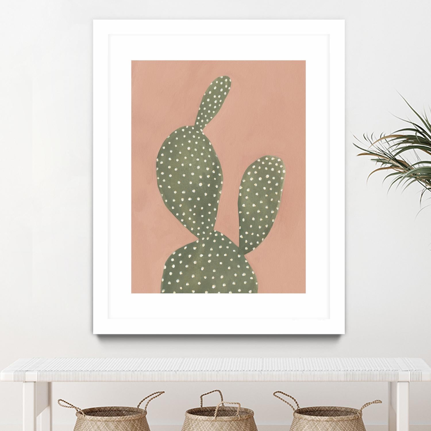 Coral Cactus Succulent Plant - Low Maintenance Indoor Houseplant for Home & Office Decor | Perfect for Desktops, Windowsills & Gift Giving