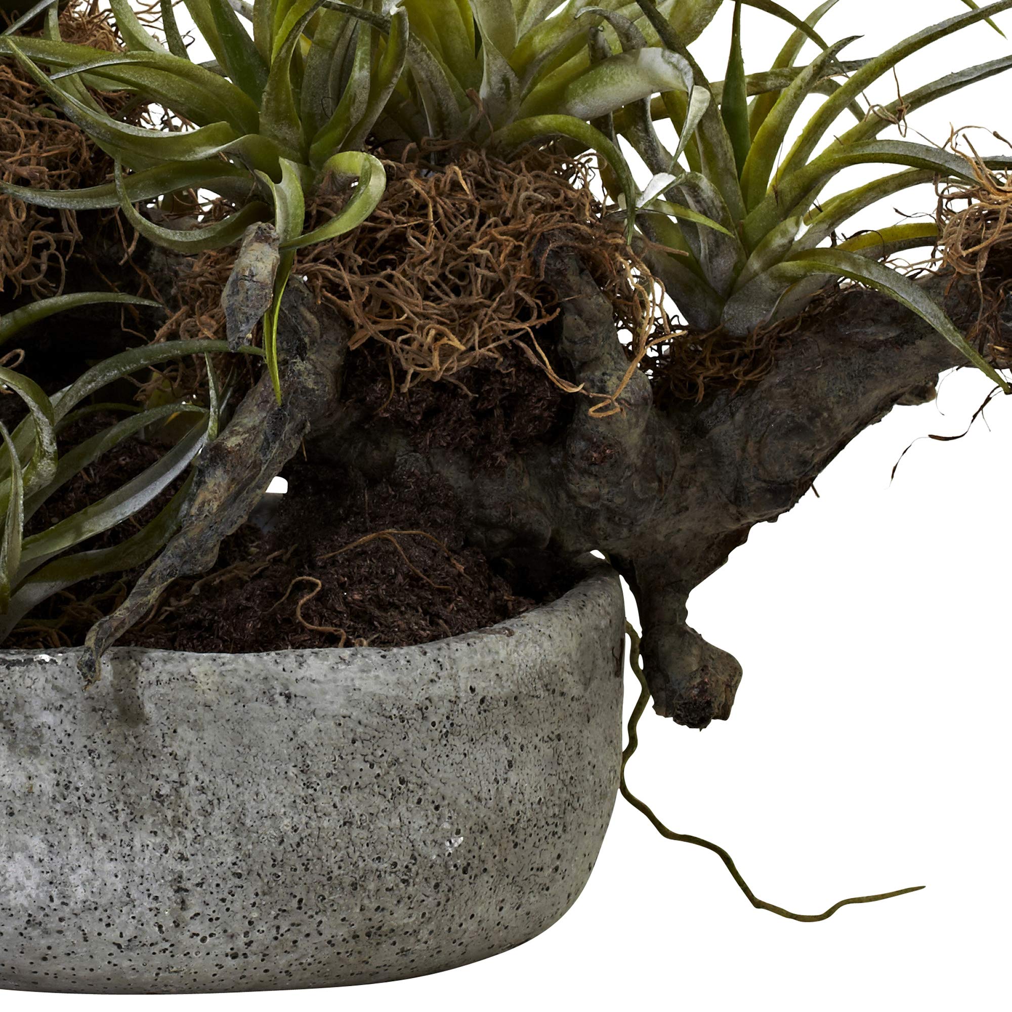 Nearly Natural Orchid & Succulent Garden Set with Driftwood & Decorative Vase - Artificial Plants for Home Decor, Office Desk, Living Room Centerpiece