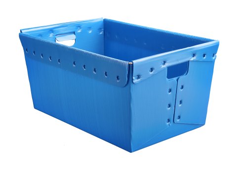 Blue.