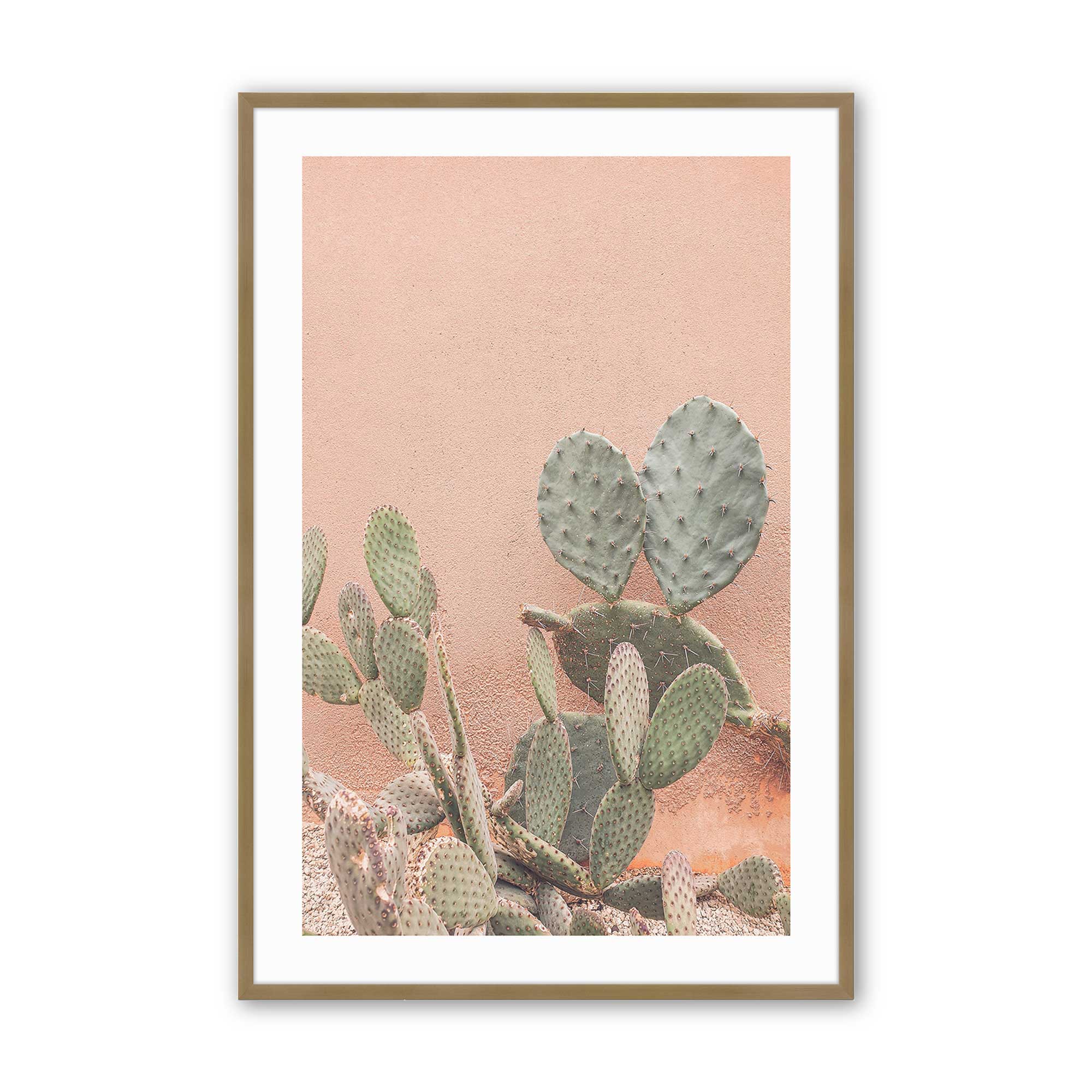 Desert Flora Print - Stunning Cactus & Succulent Design for Home Decor, Fashion & Gifts | Perfect for Wall Art, Clothing & Eco-Friendly Style
