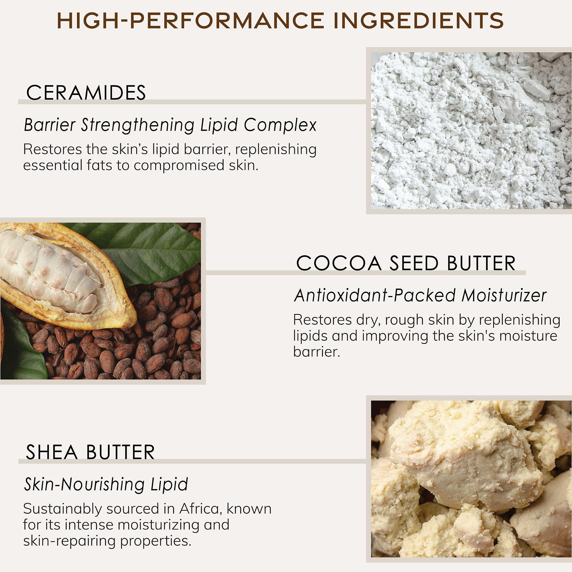 Deep Steep Body Butter - 6oz Vanilla Coconut Scented Moisturizing Cream for Dry Skin | Hydrating & Nourishing Hand & Body Lotion | Perfect for Daily Use, After Shower & Spa Treatments