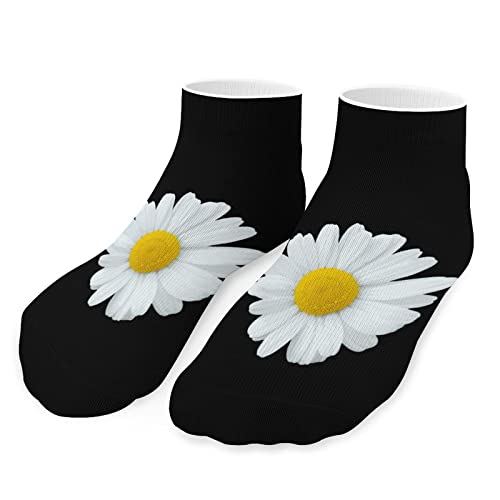 Daisy Flower