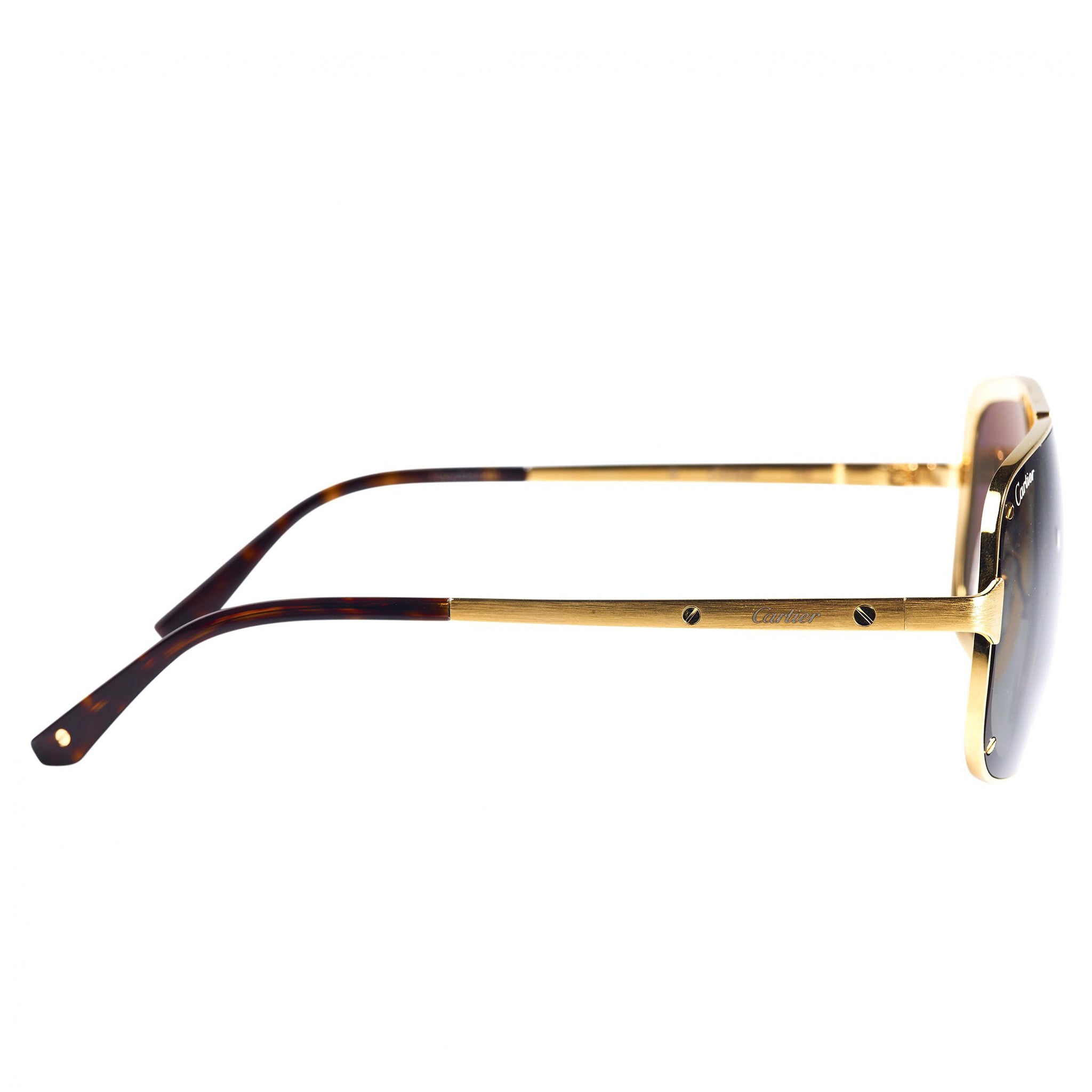 Cartier Eyewear CT0194S 002 Santos De Cartier Silver Sunglasses for Men & Women - Luxury Designer Shades for Driving, Travel & Outdoor Fashion