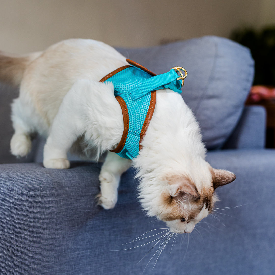 Sky Blue Cat Harness with Tan Trim - Adjustable & Escape-Proof Pet Vest for Safe Outdoor Adventures - Perfect for Walking, Hiking & Travel