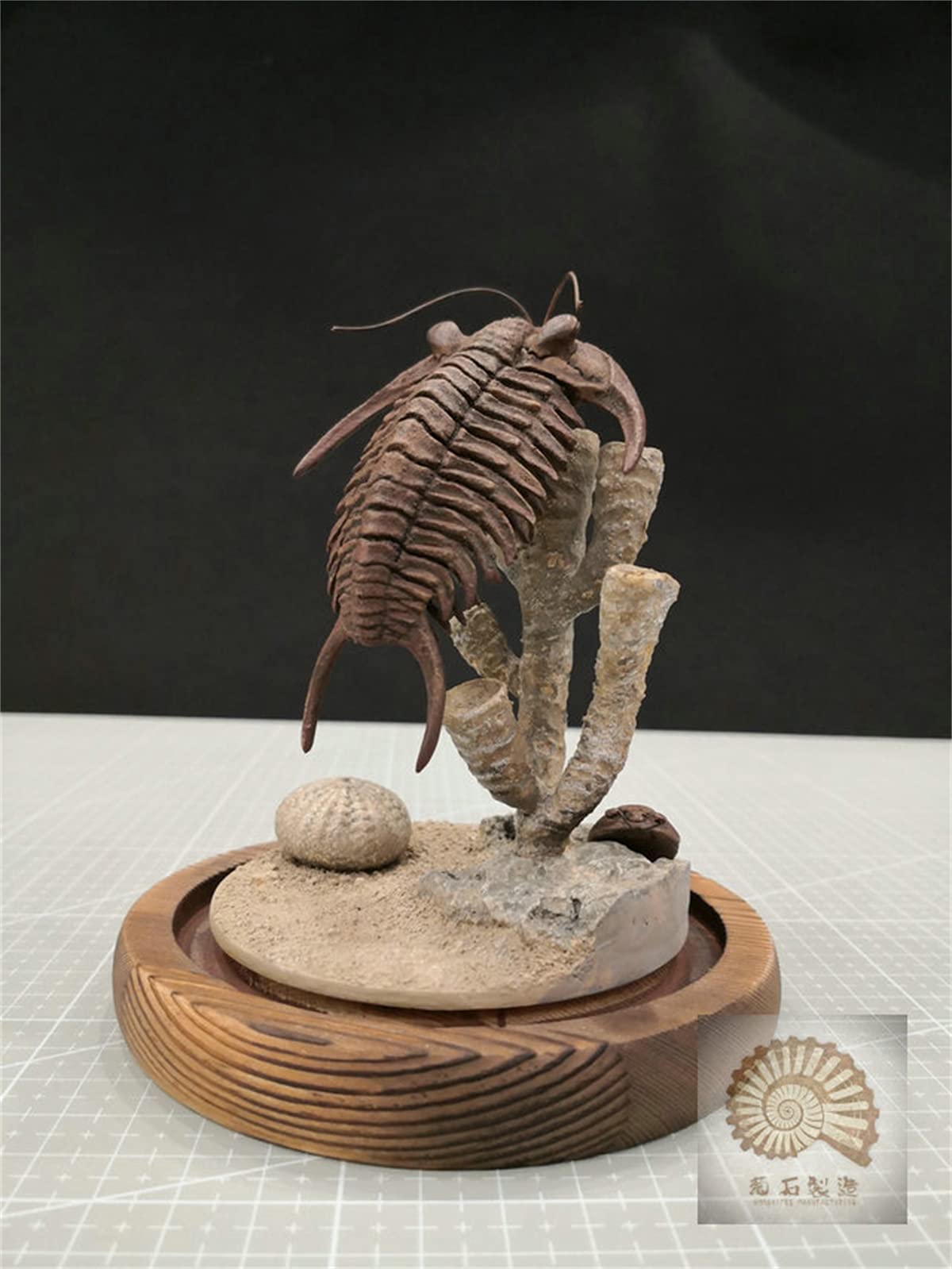 VWUVWU 1:1 Scale Trilobite Fossil Model - Realistic Arthropod Skeleton Figure, Resin Collector's Decor & Unique Gift for Adults - Perfect for Paleontology Enthusiasts, Home Office Display & Science Education