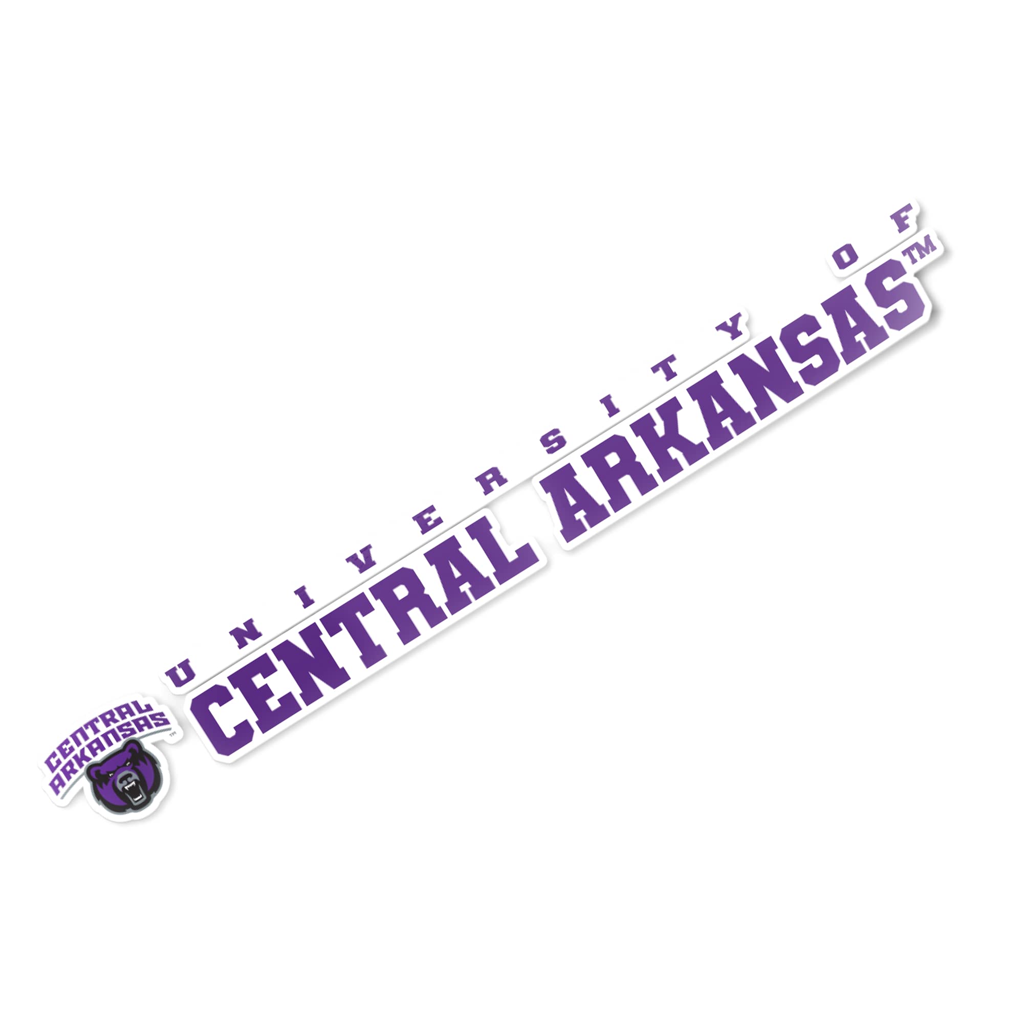UCA Bears Vinyl Decal Sticker - 8 Inch Desert Cactus Design for Laptop, Water Bottle, Car & Scrapbook | University of Central Arkansas Logo | Perfect for School Spirit, College Pride & Fan Gifts