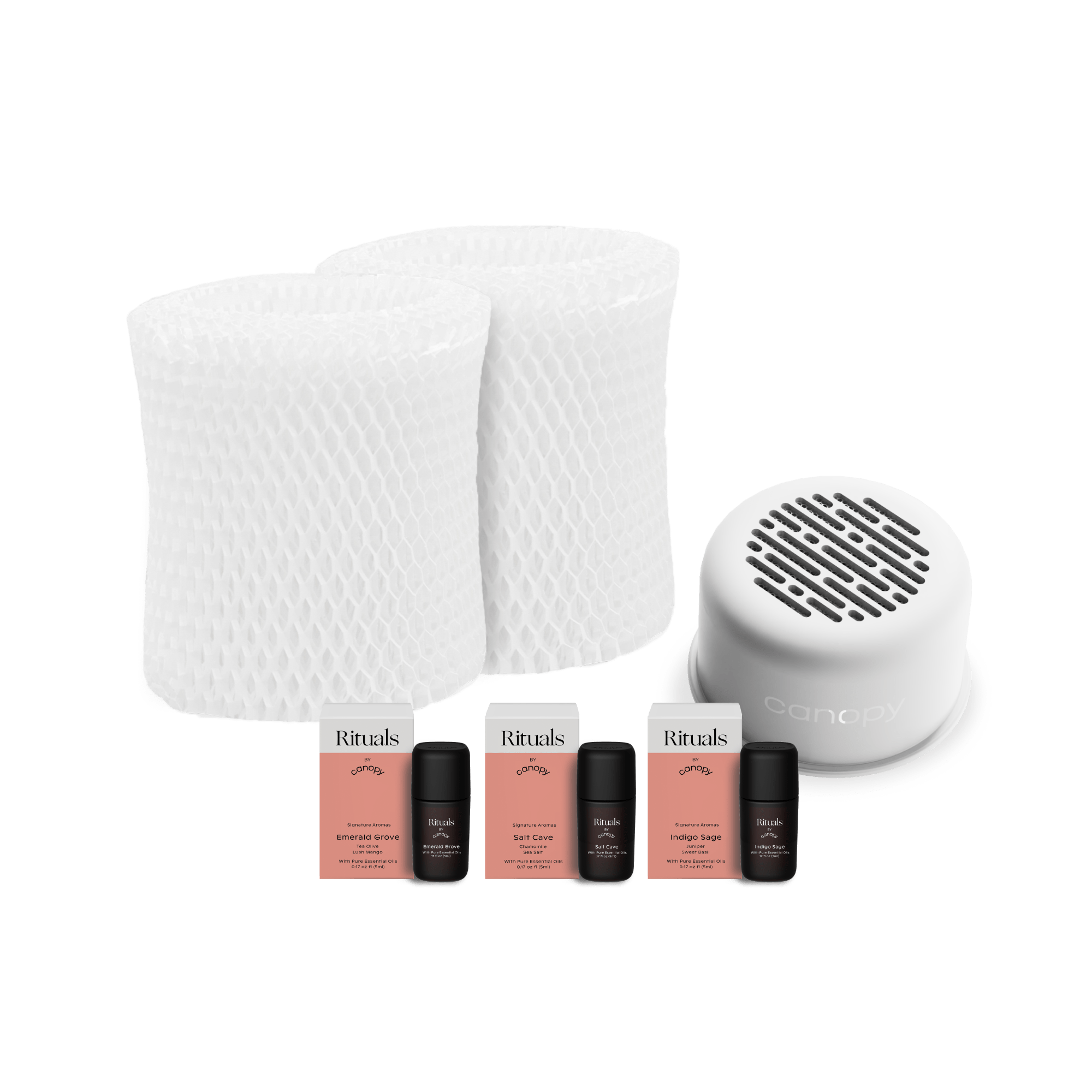 Canopy Home Subscription Box - Monthly Home Decor & Essentials Delivery for US Shoppers | Perfect for Apartment Decor, Housewarming Gifts & Home Styling