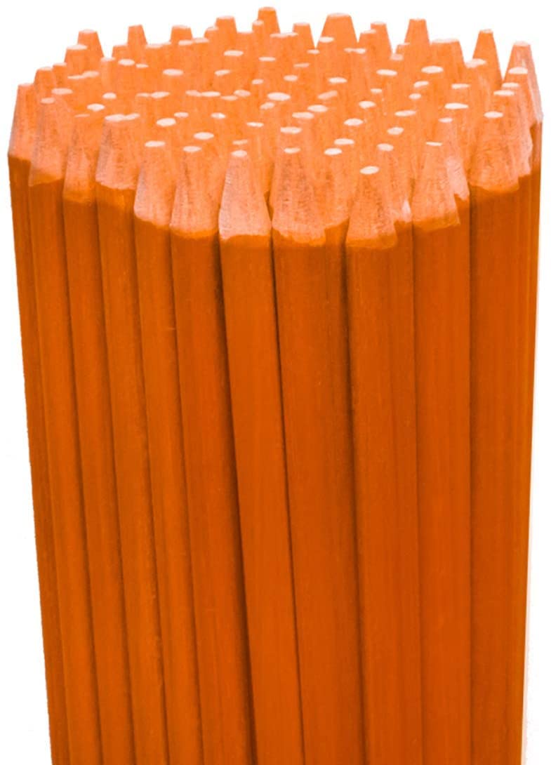 100 Pack 48