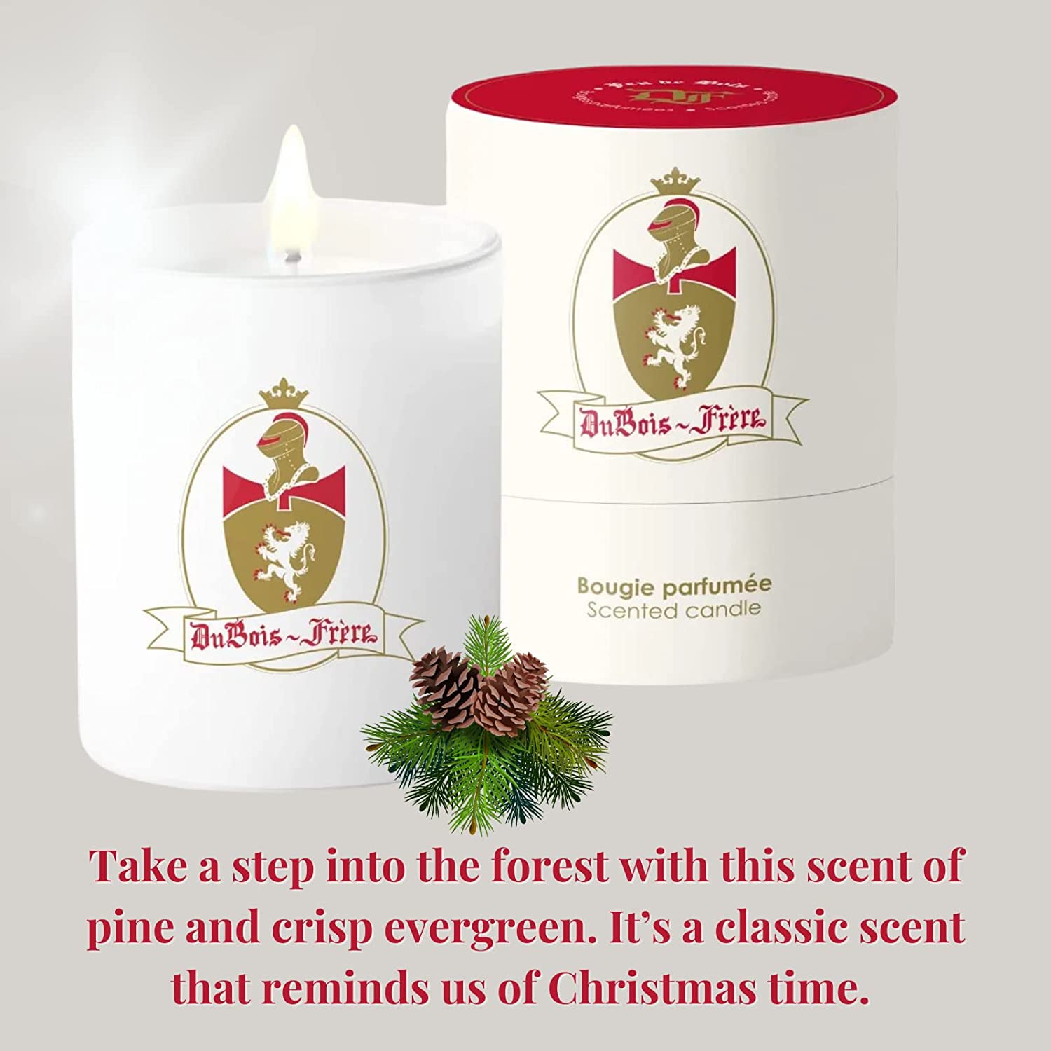 Dubois Frere Luxury Aromatherapy Candle - Long Lasting Forest Woodsy Scent in Glass Jar (190g) - Perfect for Home Fragrance, Wedding Gifts, Birthday Presents & Holiday Decor - Creates Cozy Winter Ambiance for Relaxation & Stress Relief