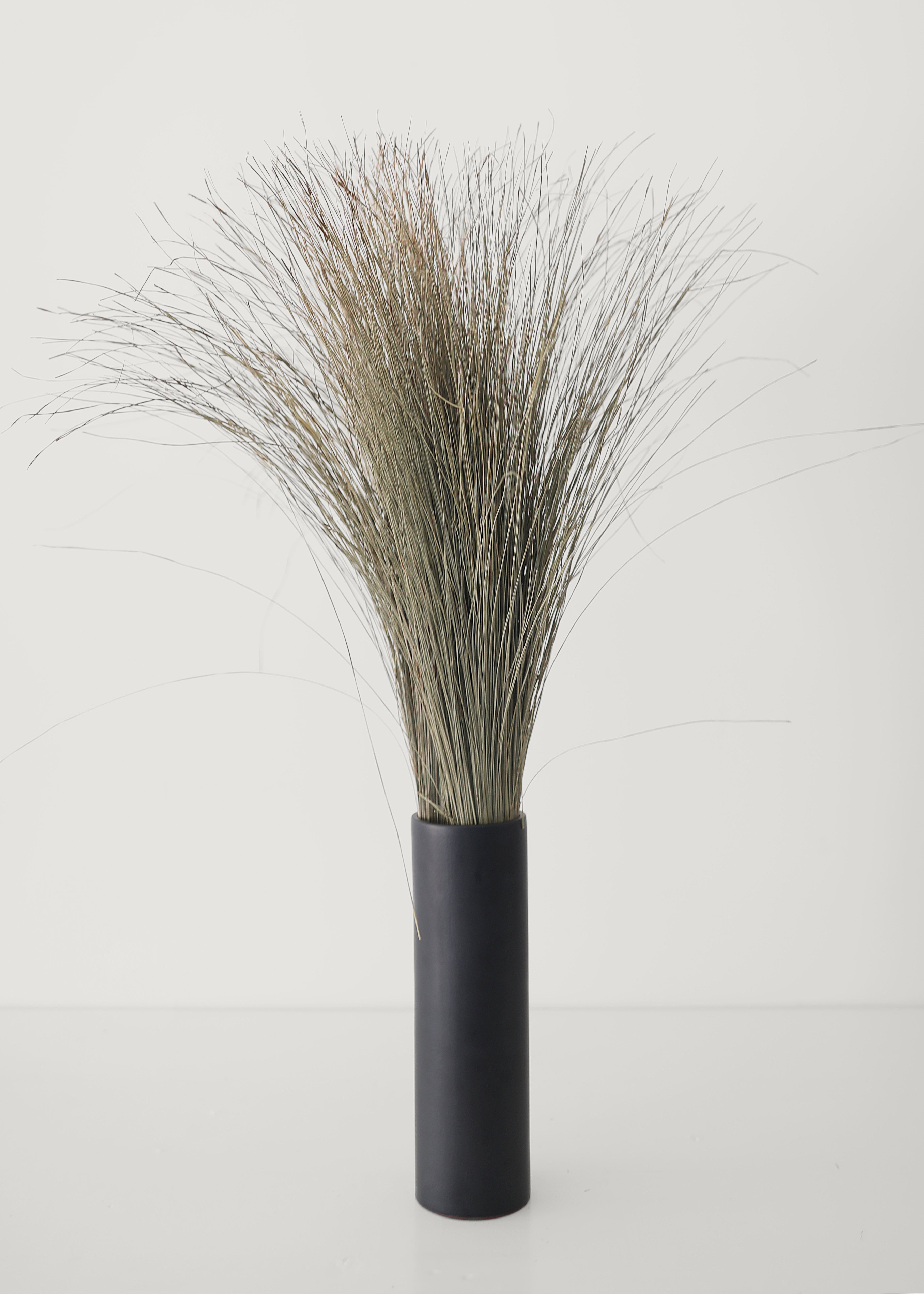 Preserved Coastal Dune Grass - 36 Pack of Natural Beach Grass for Erosion Control | Perfect for Coastal Landscaping, Sand Dune Restoration & Beachfront Property Protection