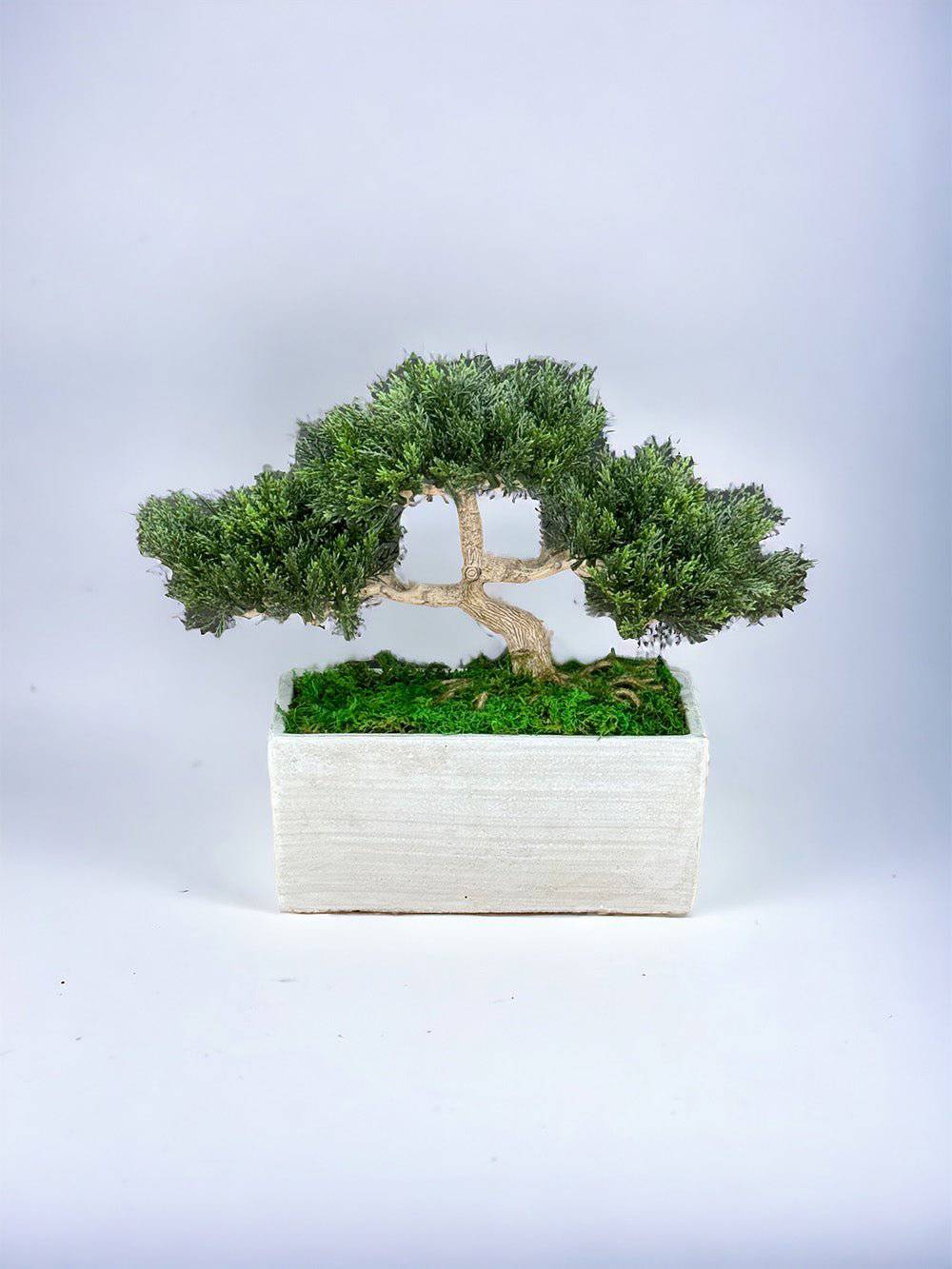 Realistic Faux Bonsai Tree in Modern Concrete Planter with Preserved Moss - Perfect for Home Office Decor, Zen Meditation Spaces & Modern Interior Design
