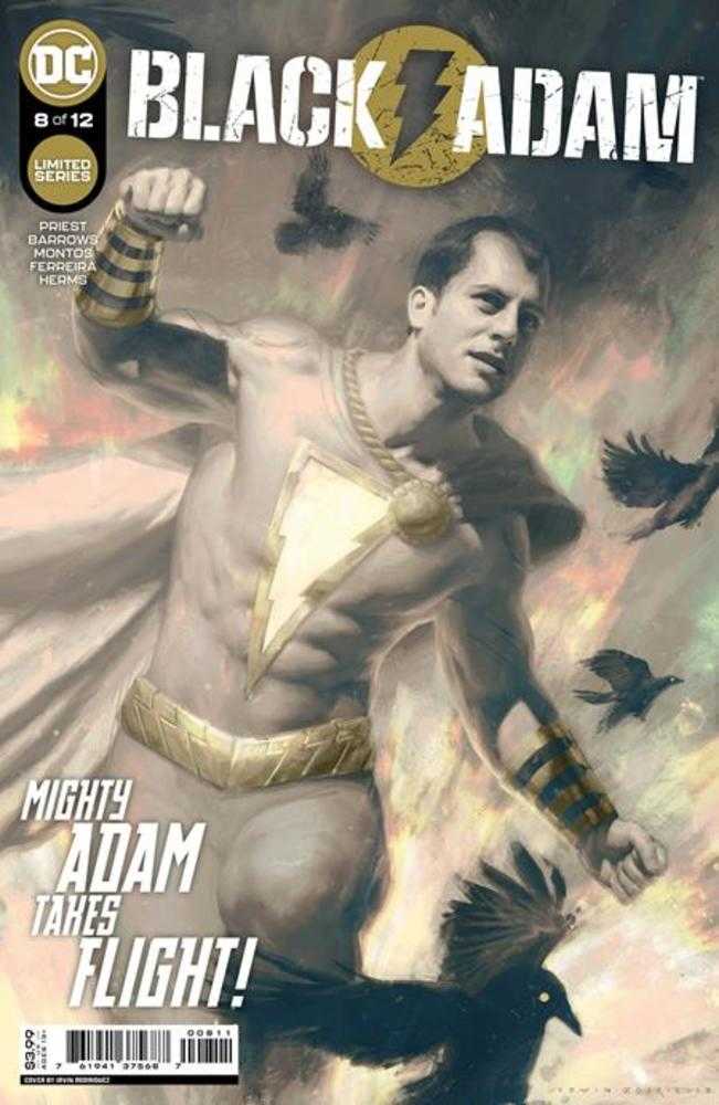 Black Adam #8 (Of 12) Cover A by Irvin Rodriguez - DC Comics Collectible Series - Perfect for Superhero Fans & Comic Book Collectors