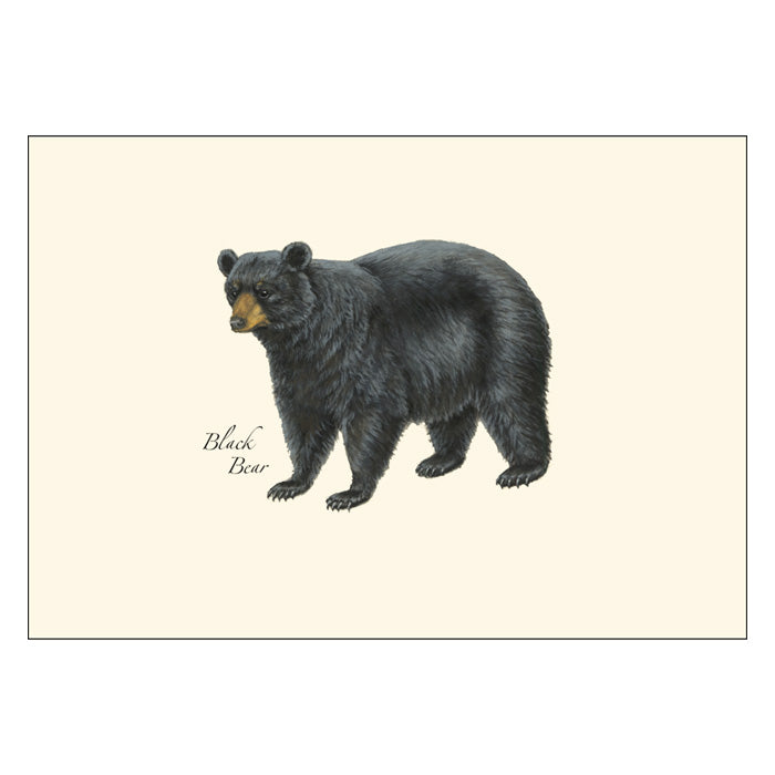 Premium Mammals Notecard Set - Wild Animal Themed Greeting Cards for Birthdays, Thank You Notes & Special Occasions