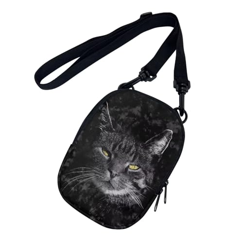 Maine Coon