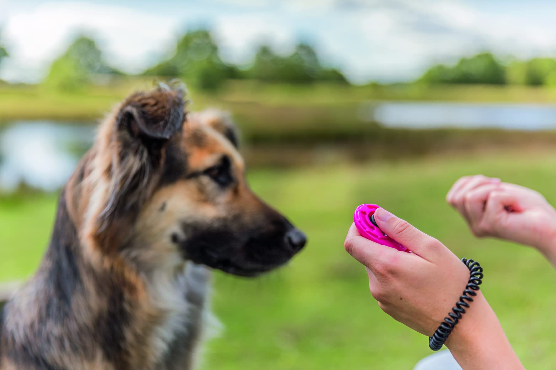 Trixie Dog Training Clicker with Spiral Wrist Loop - Effective Sound Sensitive Pet Training Tool for Obedience & Basic Skills | Special Audible Signal (6cm) - Perfect for Home, Park & Professional Dog Training Sessions