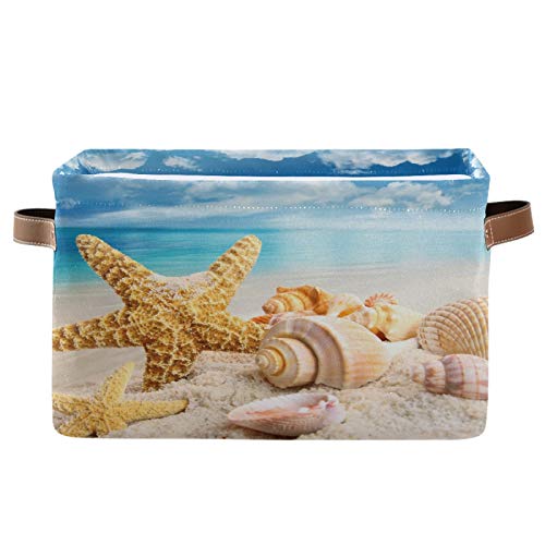 Bech Starfish