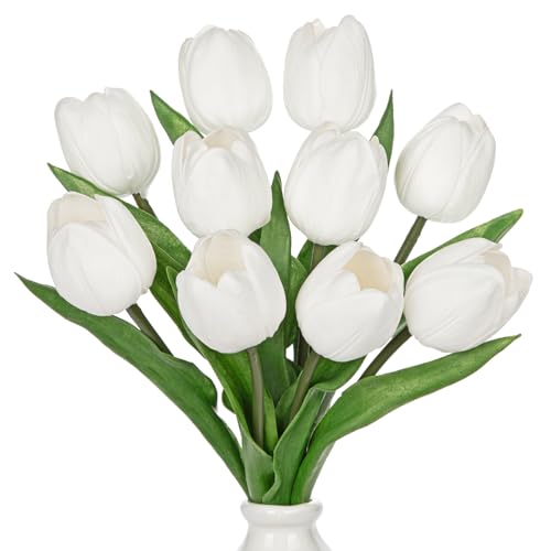 10pcs Blooming White-large