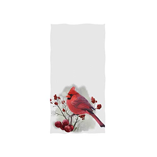 Winter Cardinal
