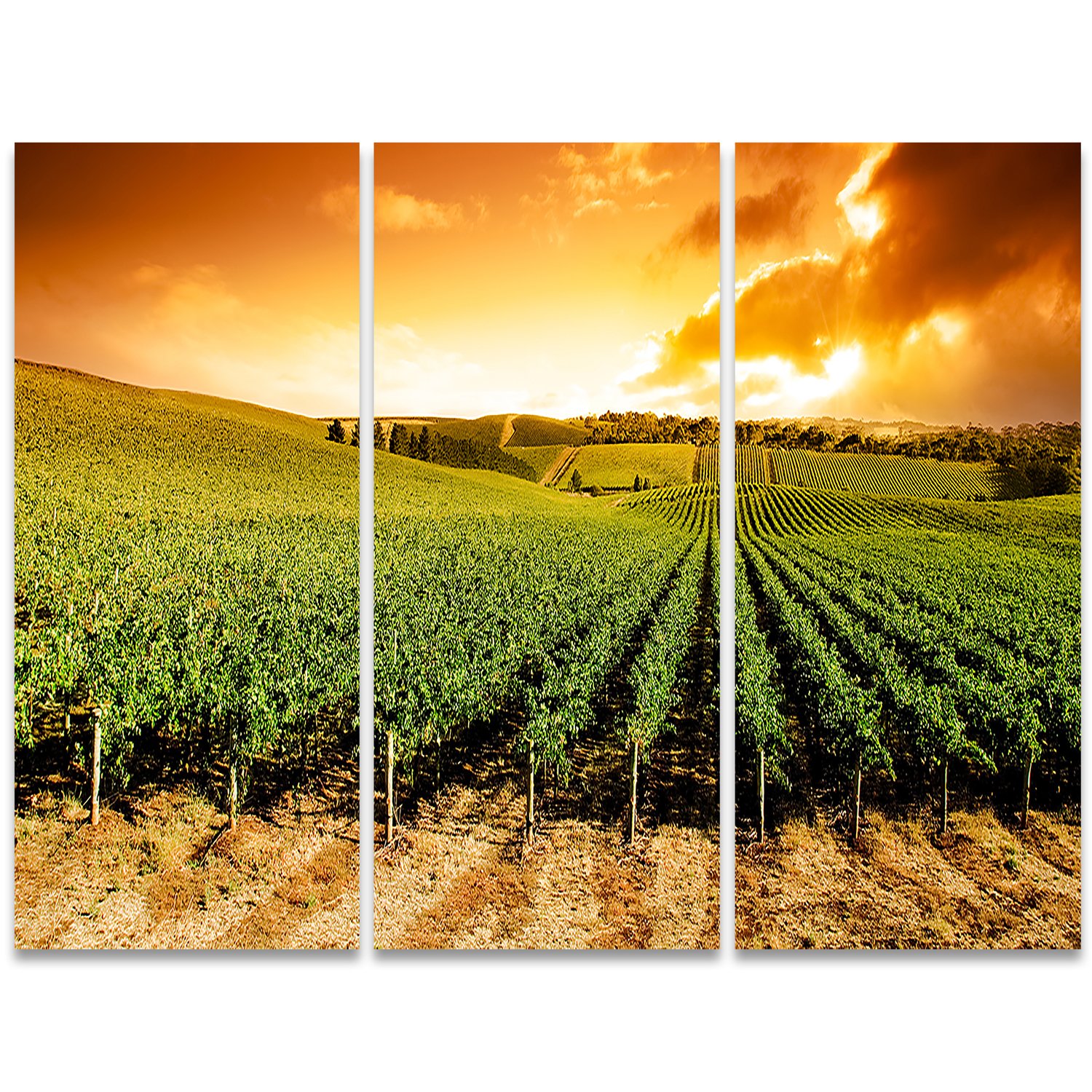 Stunning Sunset Vineyard Panorama Wall Art - Extra Large Landscape Canvas Print for Living Room, Bedroom & Office Decor