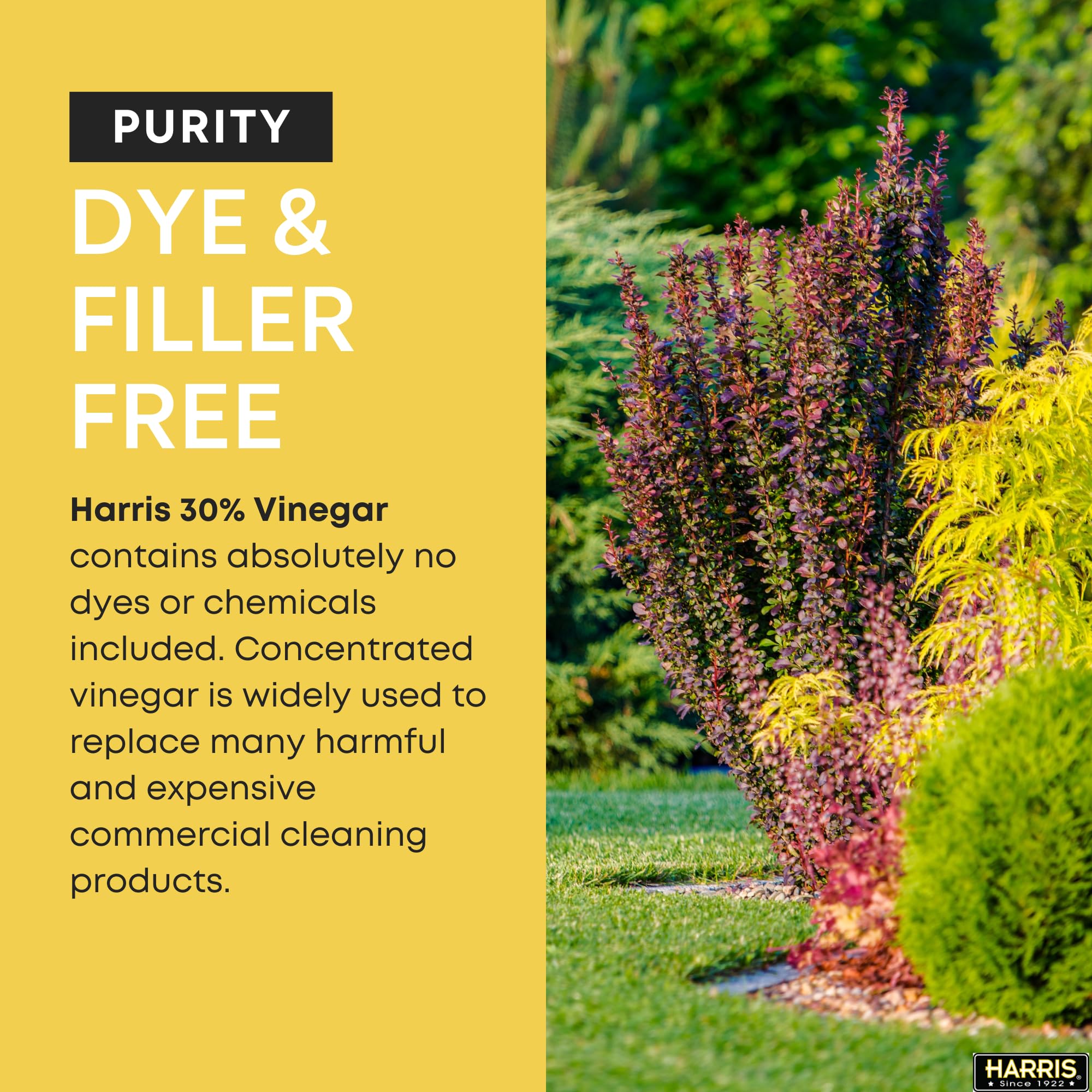 Harris 30% Vinegar Extra Strength - Industrial & Household Cleaning Solution with Included Funnel (1 Gallon, 4-Pack) - Perfect for Weed Control, Descaling, Stain Removal & Disinfecting Surfaces