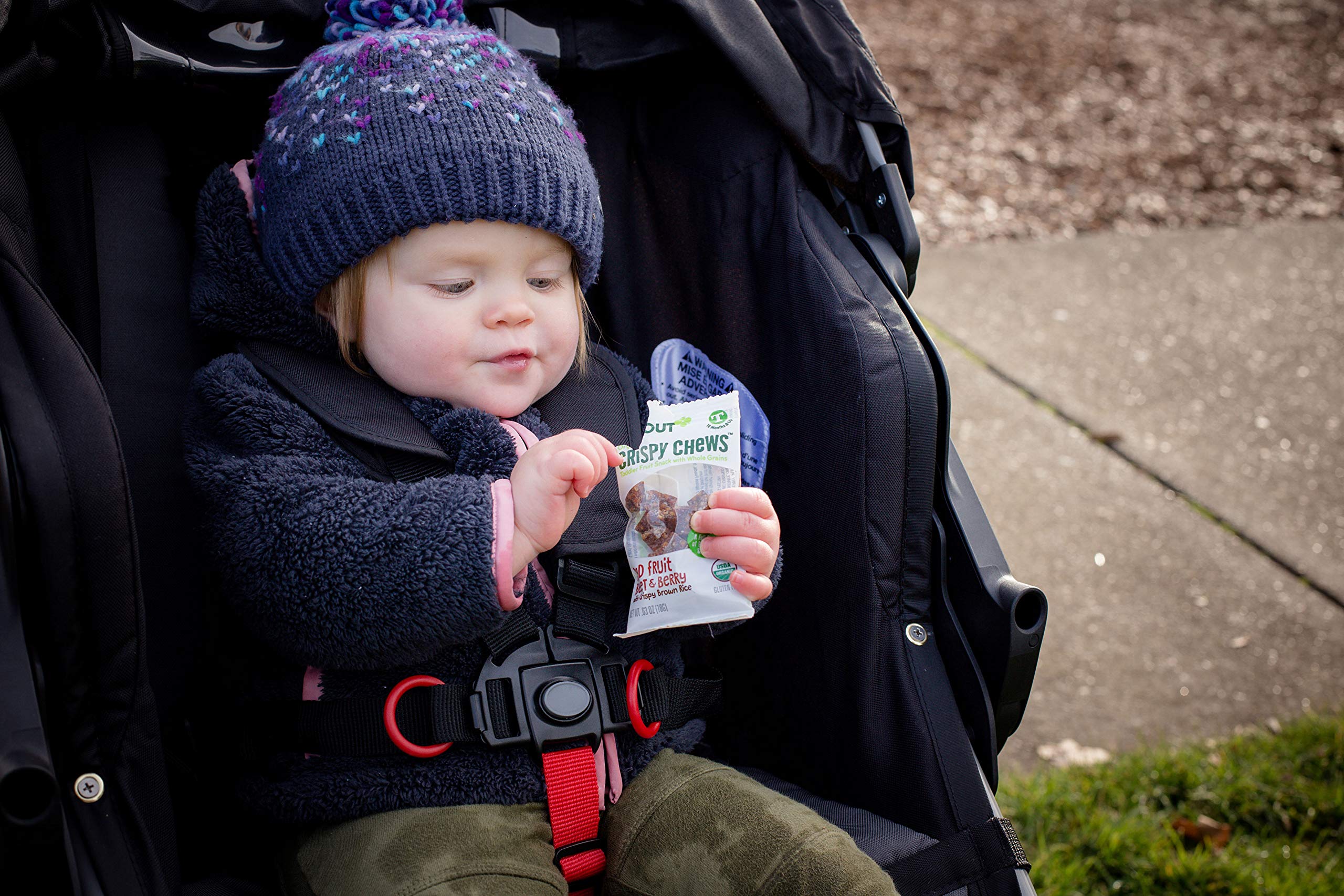 Organic Toddler Snacks - Sprout Crispy Chews Red Berry & Beet Flavor, 3.15oz (Pack of 10) | Healthy Kids Snacks for Daycare, Travel & On-the-Go | Gluten-Free & Non-GMO Baby Food Pouches