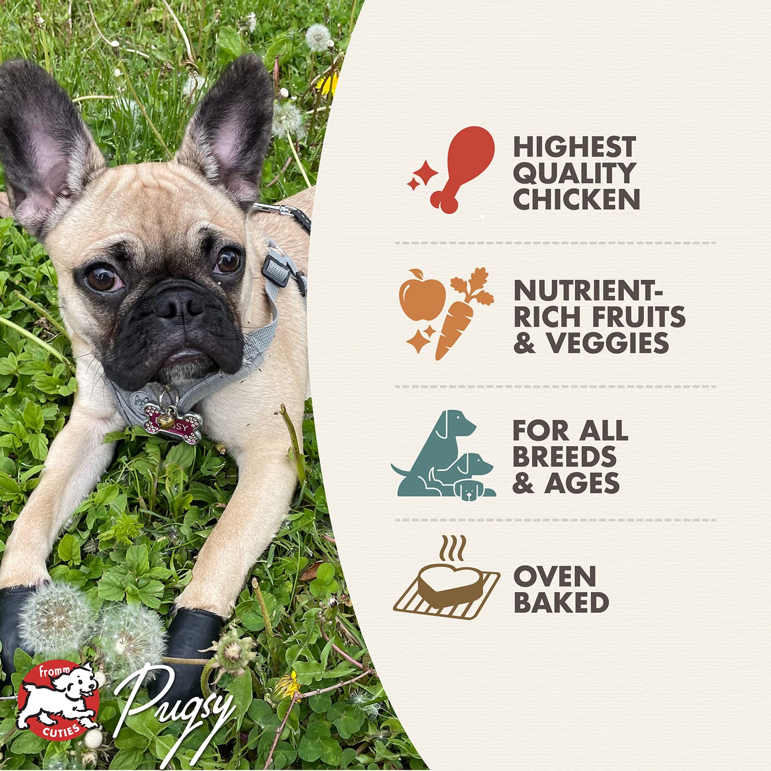 Fromm Four-Star Nutritionals Chicken with Peas & Carrots Dog Treats - Premium Oven Baked Dog Snacks - Grain Free, Natural Ingredients - Chicken Recipe - 8 oz - Perfect for Training Rewards & Daily Treats
